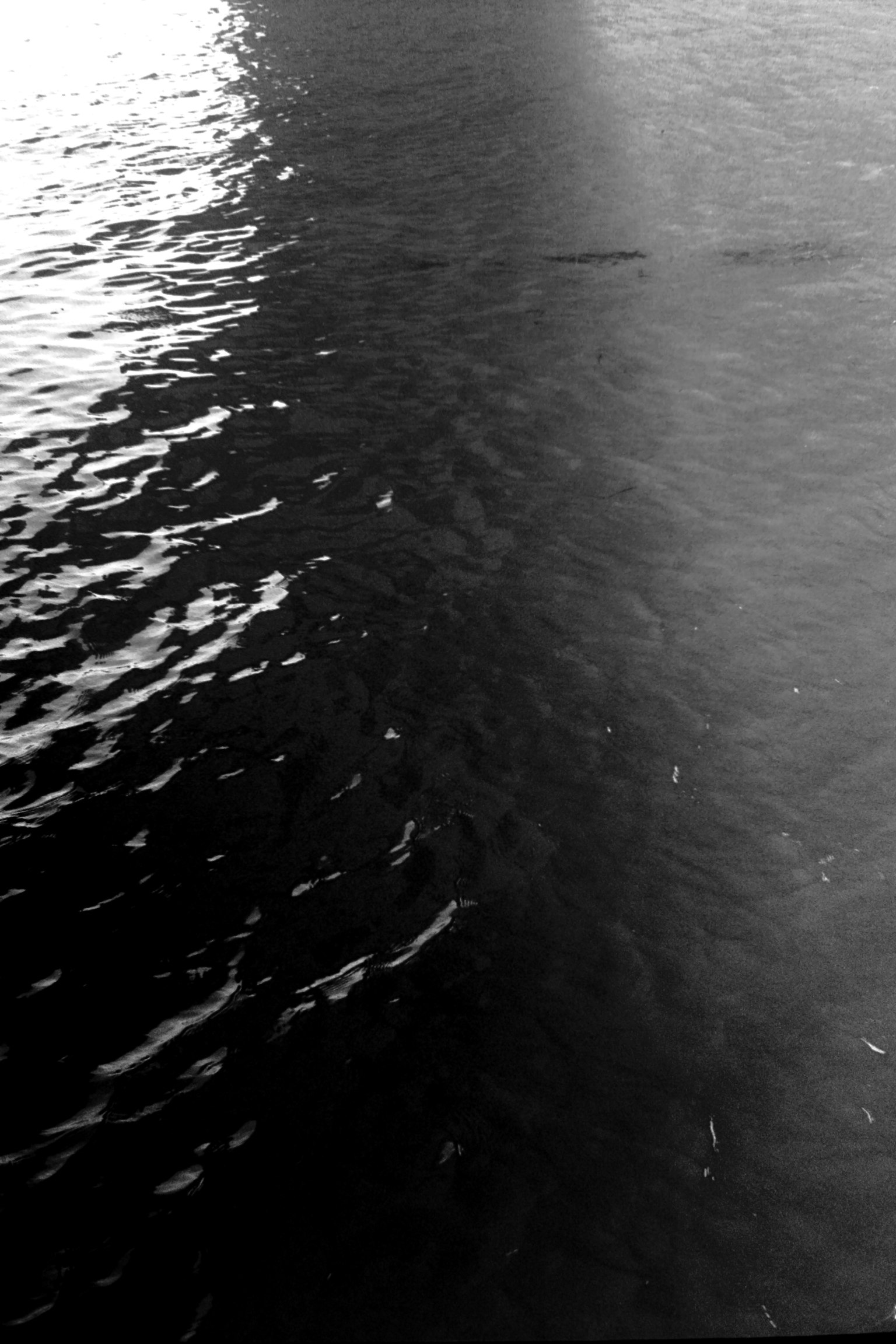 Foto en blanco y negro que muestra el contraste entre las ondas del agua y las sombras
