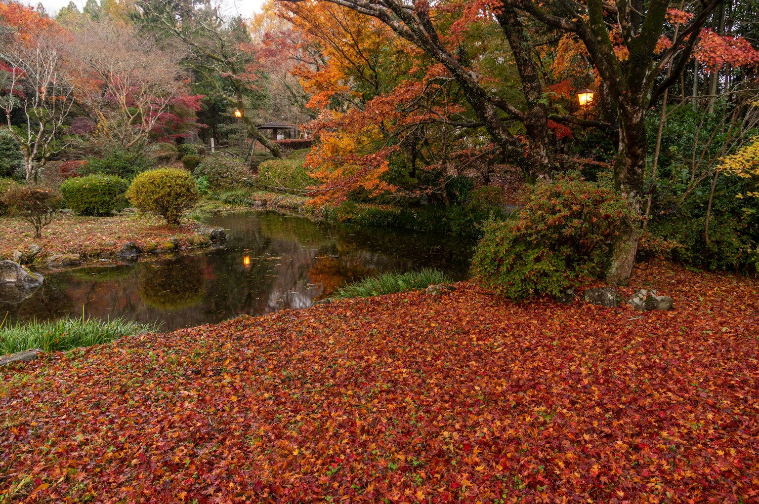 Vista escénica de un jardín en otoño con un follaje rojo y naranja vibrante y un estanque tranquilo