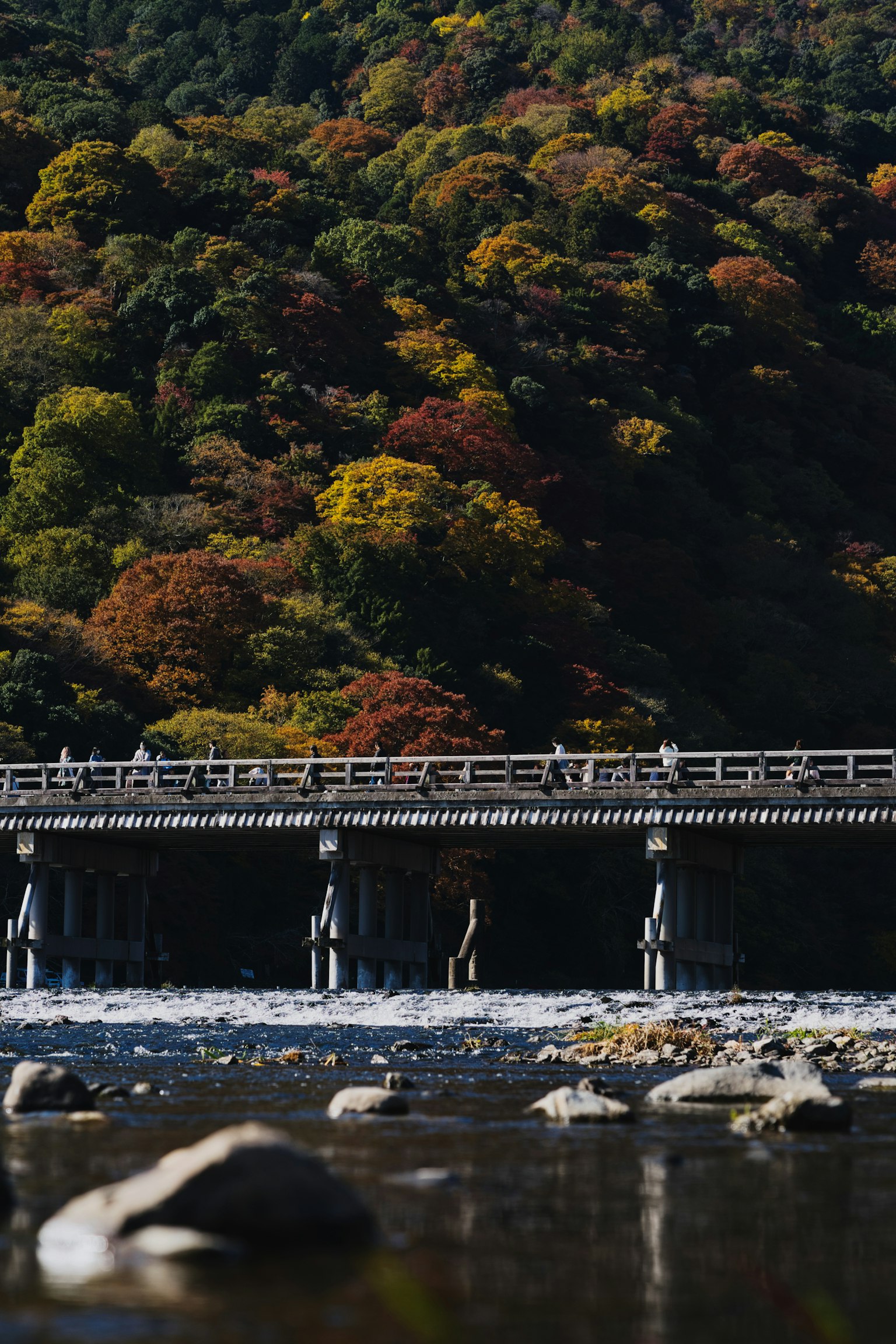 色とりどりの秋の木々に囲まれた川に架かる橋の風景