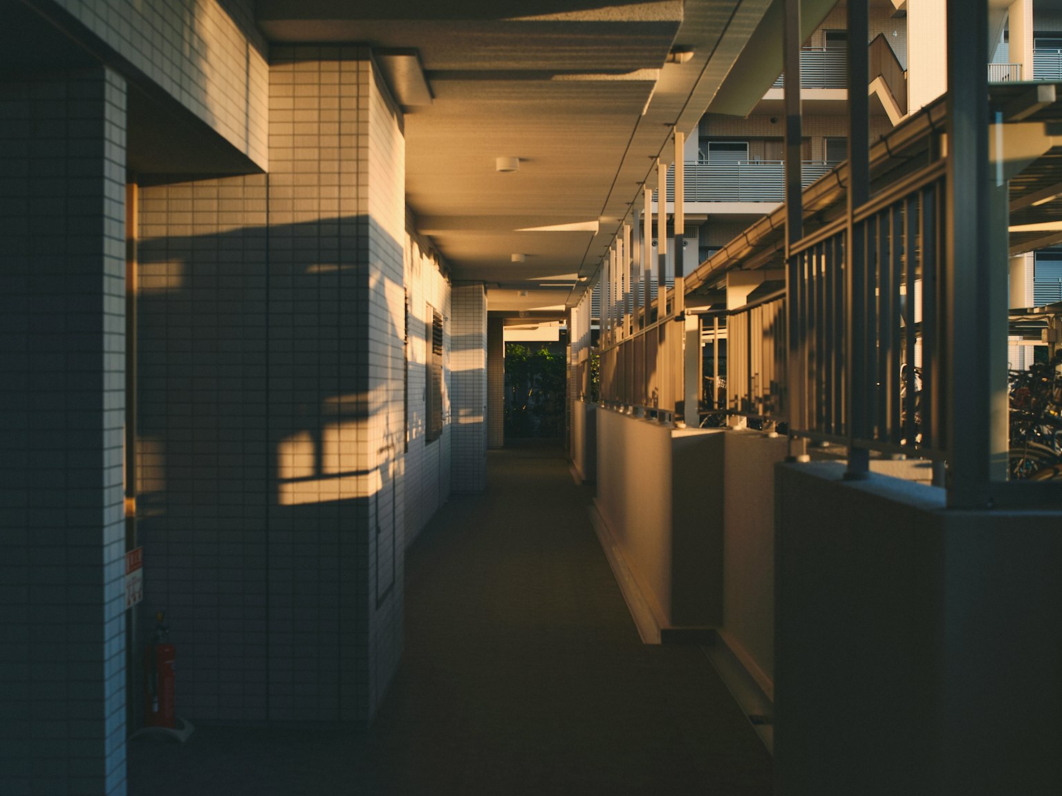 photo-lL2ijFxKwdd0qdQk1vHC-image