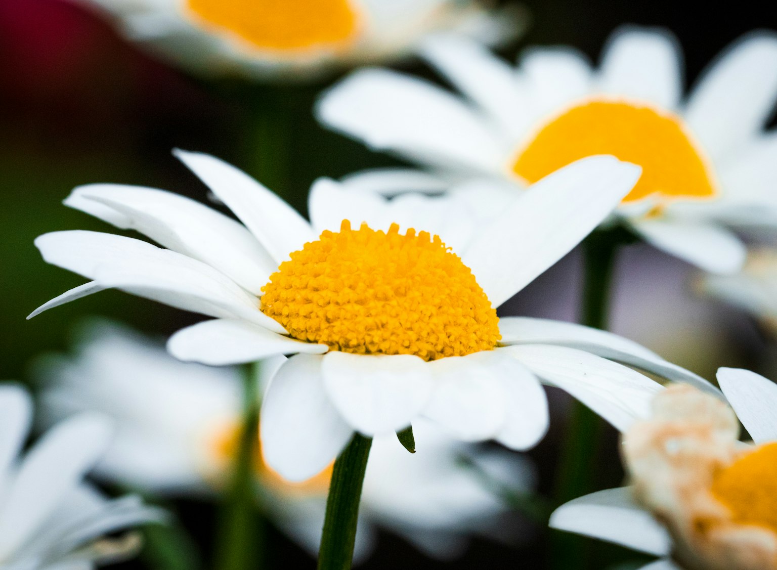 photo-lLBviLcBkXMkYLD7xHUq-image