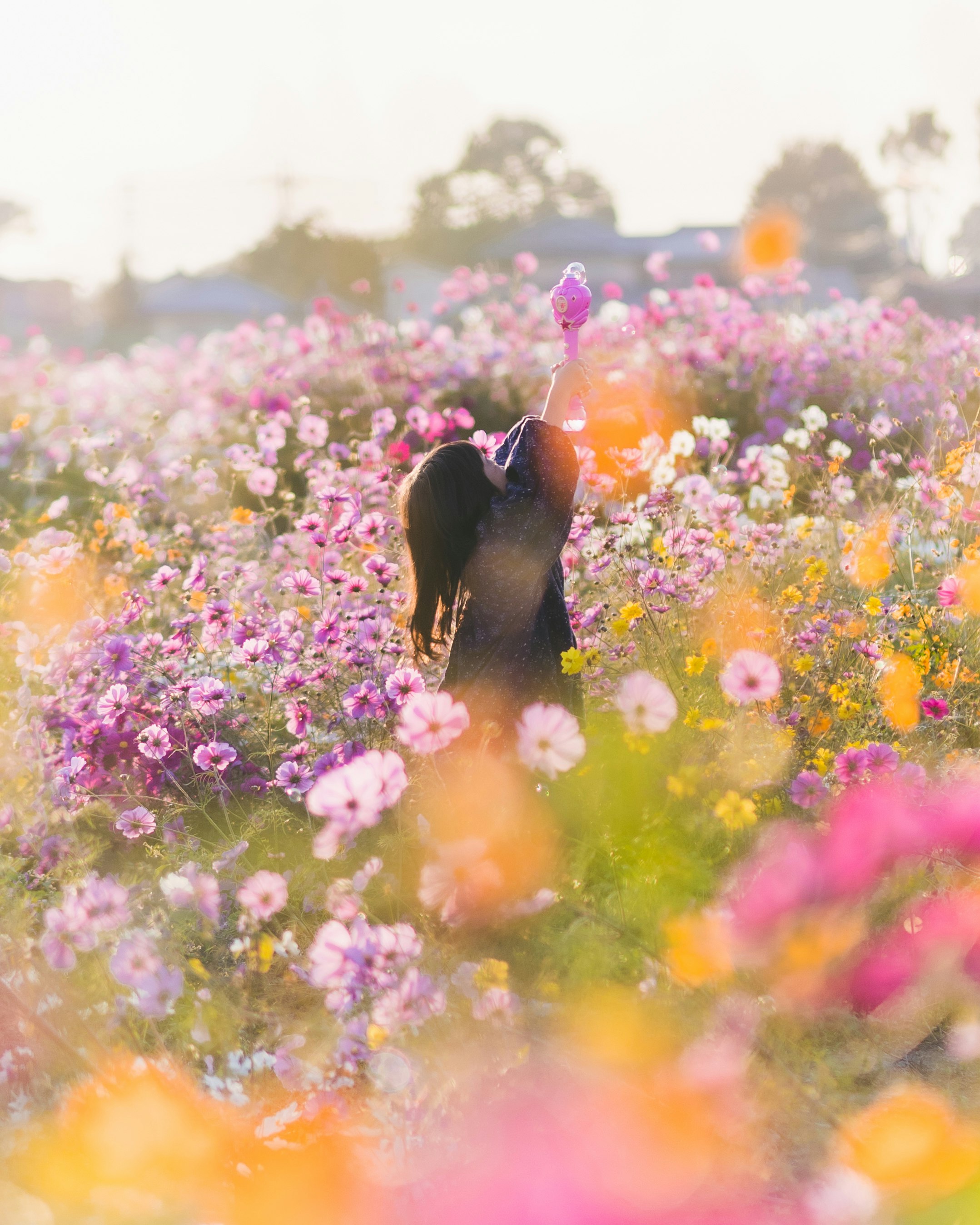 花畑で手を広げる女性のシルエット