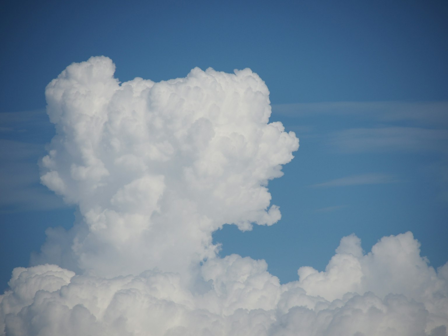 Eine große, flauschige weiße Wolke vor blauem Himmel