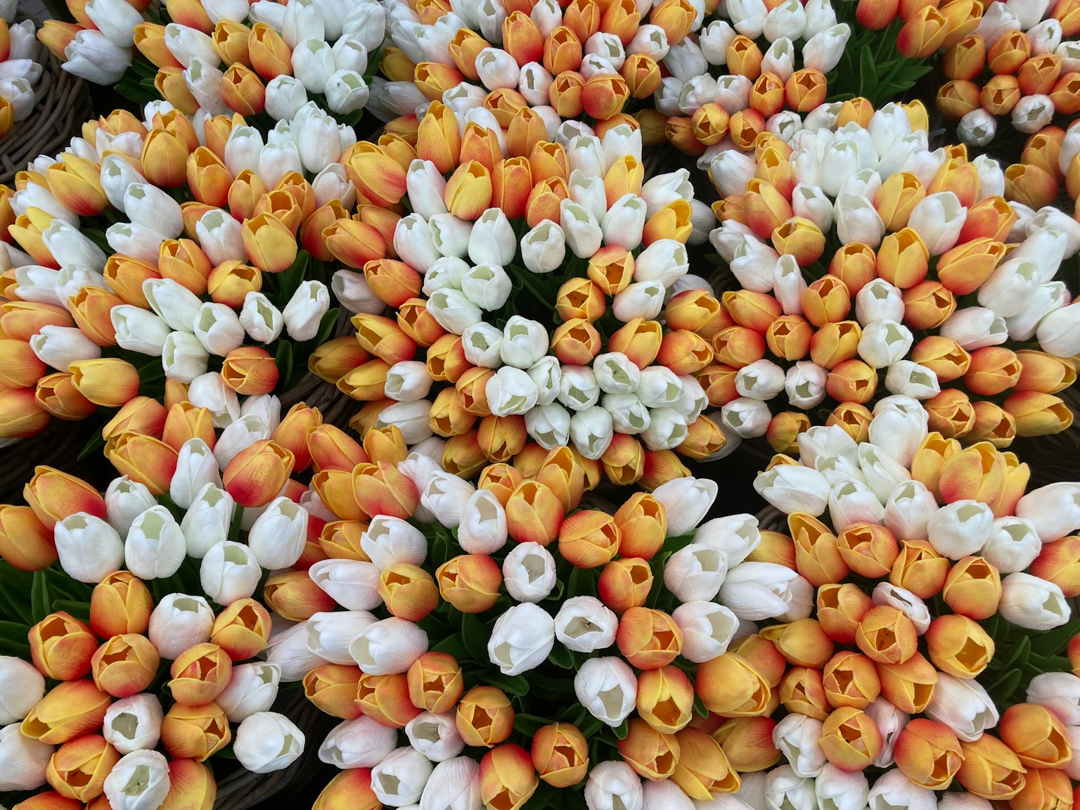 Un hermoso arreglo de ramos de tulipanes coloridos