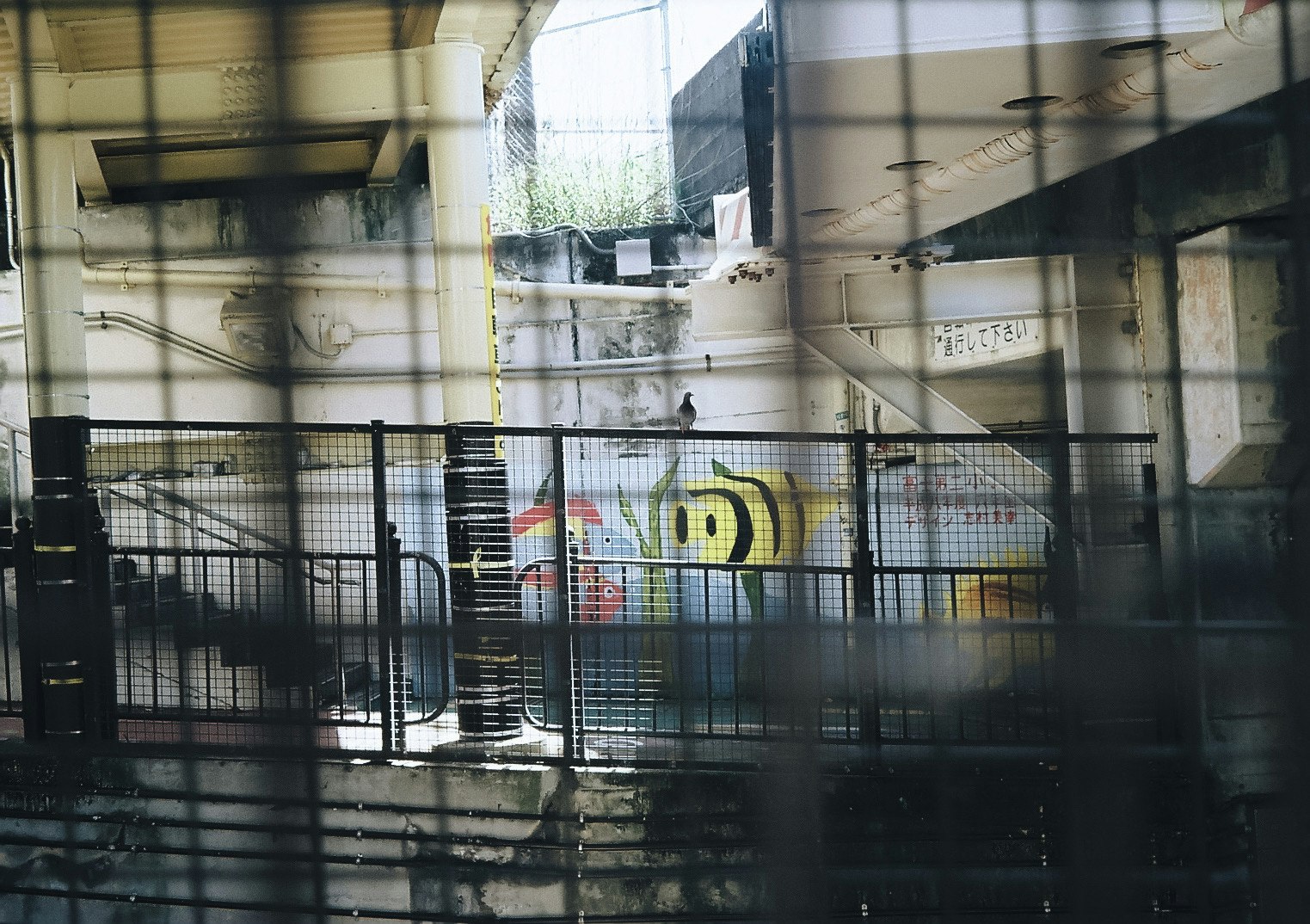 Grande illustrazione su un muro industriale vista attraverso il vetro