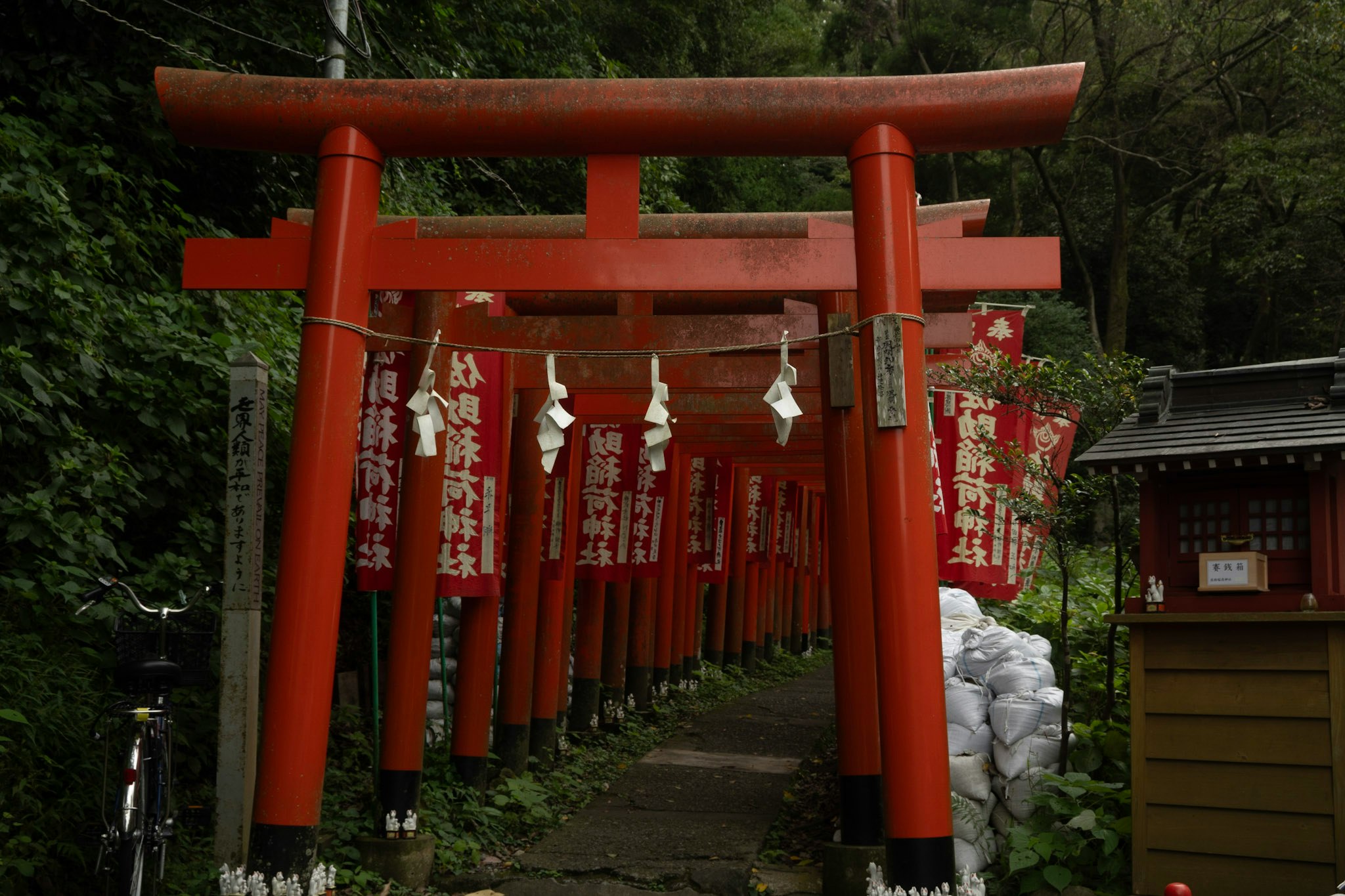 朱红鸟居与挂着的祈祷牌沿神社参道