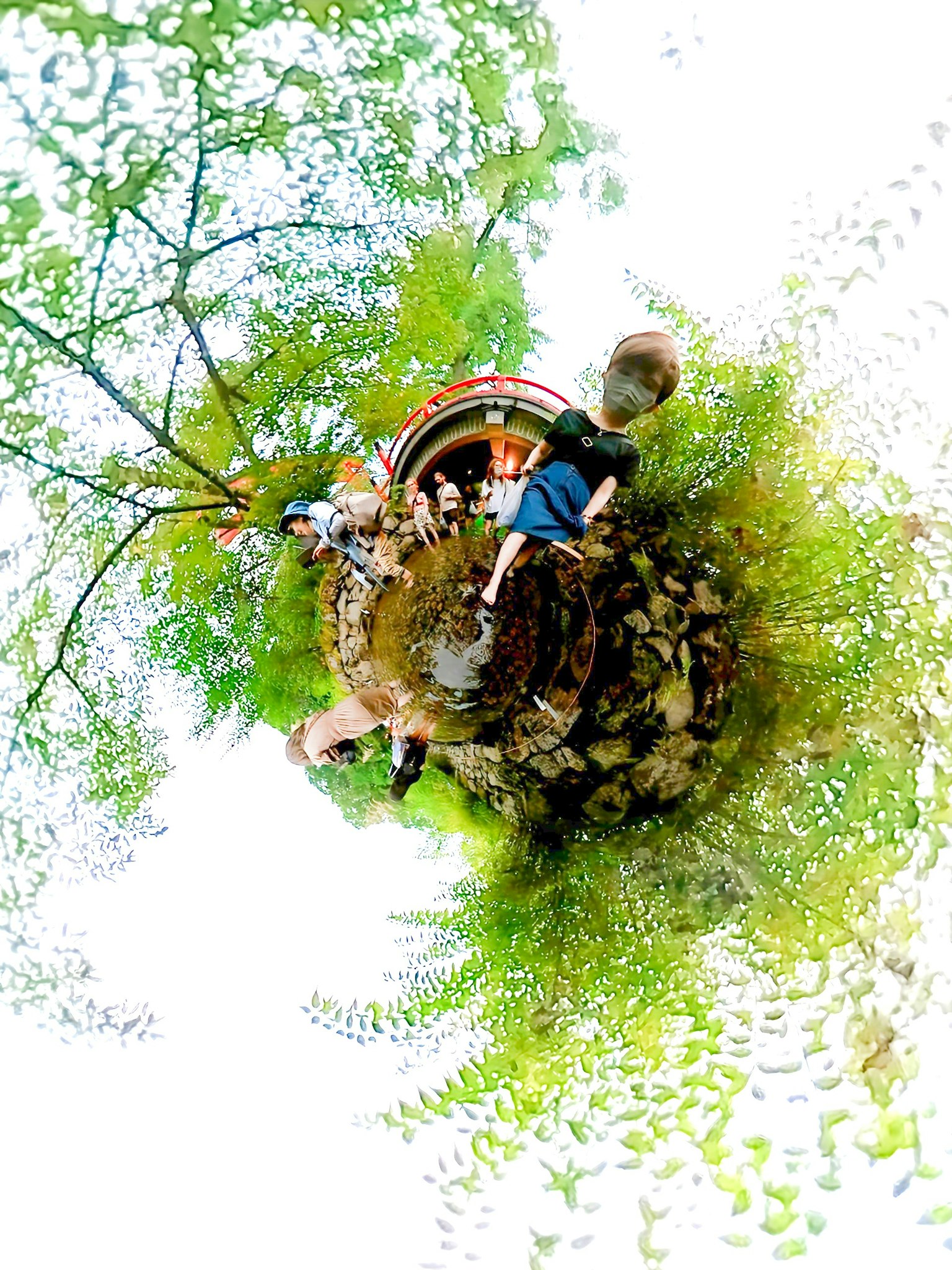 Panorama 360 độ của trẻ em đang chơi trong thiên nhiên xung quanh là lá cây và cây cối xanh tươi