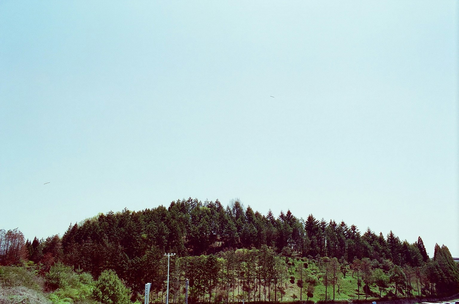 Una collina verdeggiante sotto un cielo blu chiaro con alberi fitti