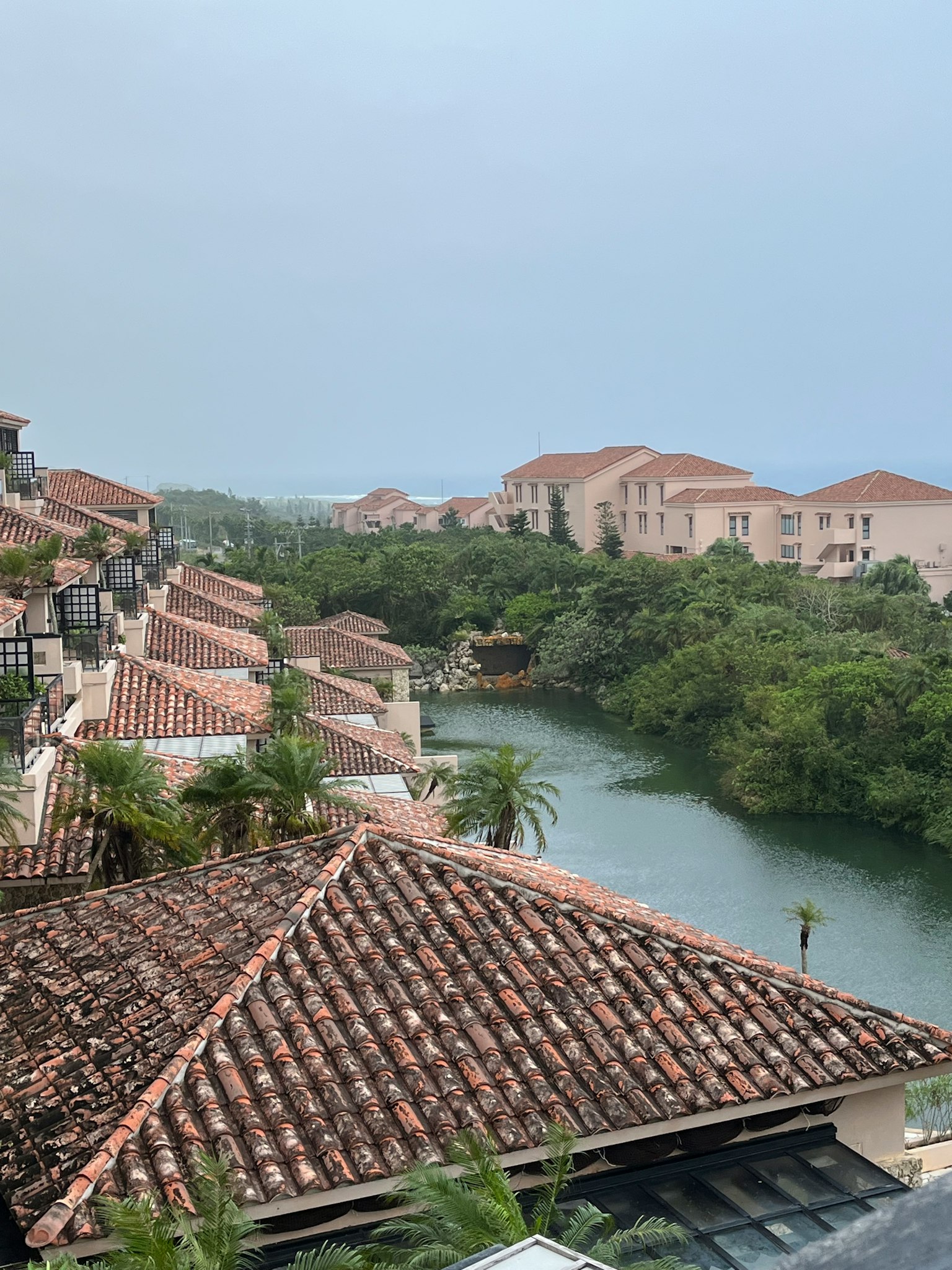 被绿树环绕的屋顶和河流的风景