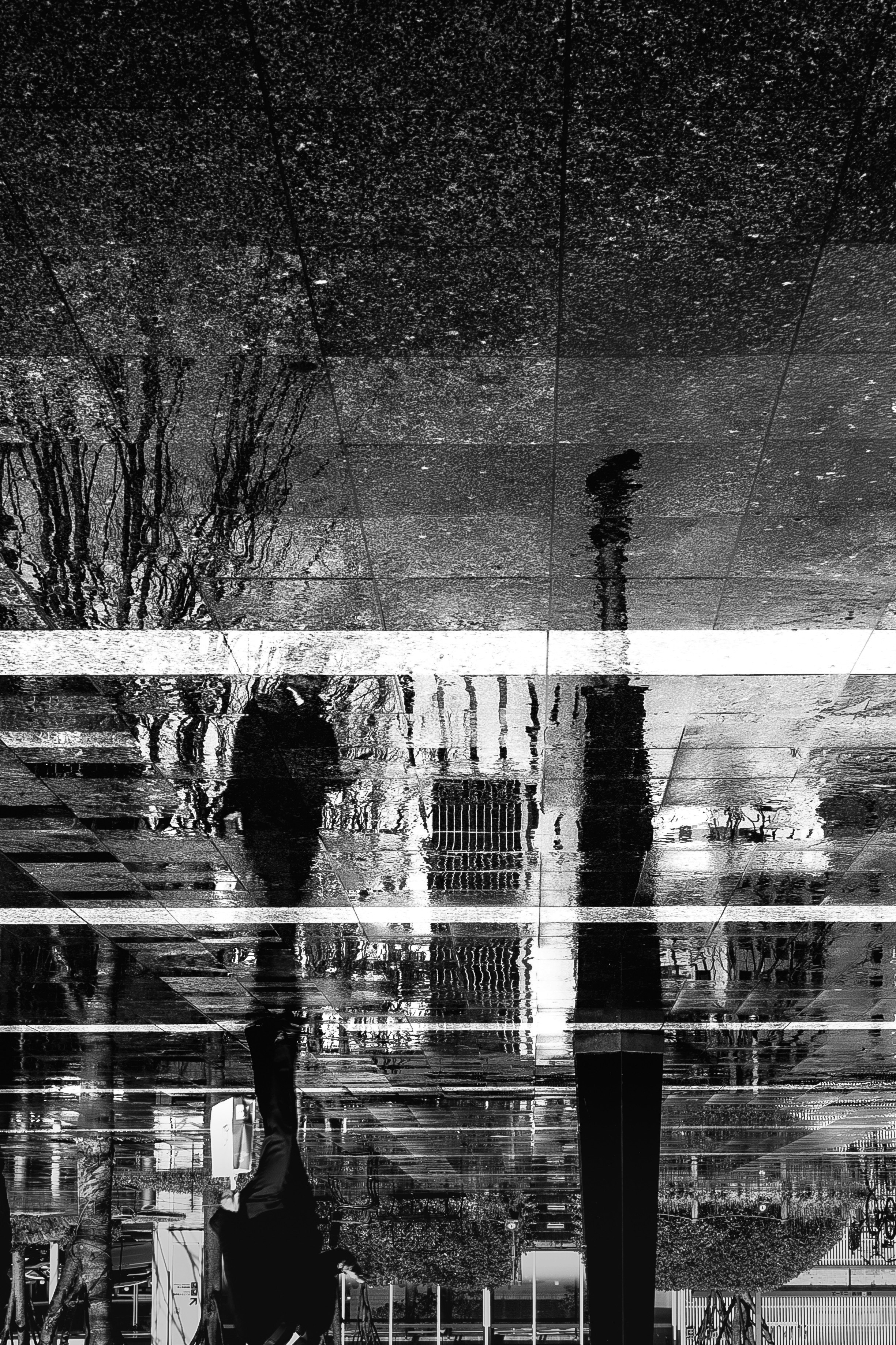 Silhouette della città e ombre degli alberi riflesse sulla superficie dell'acqua