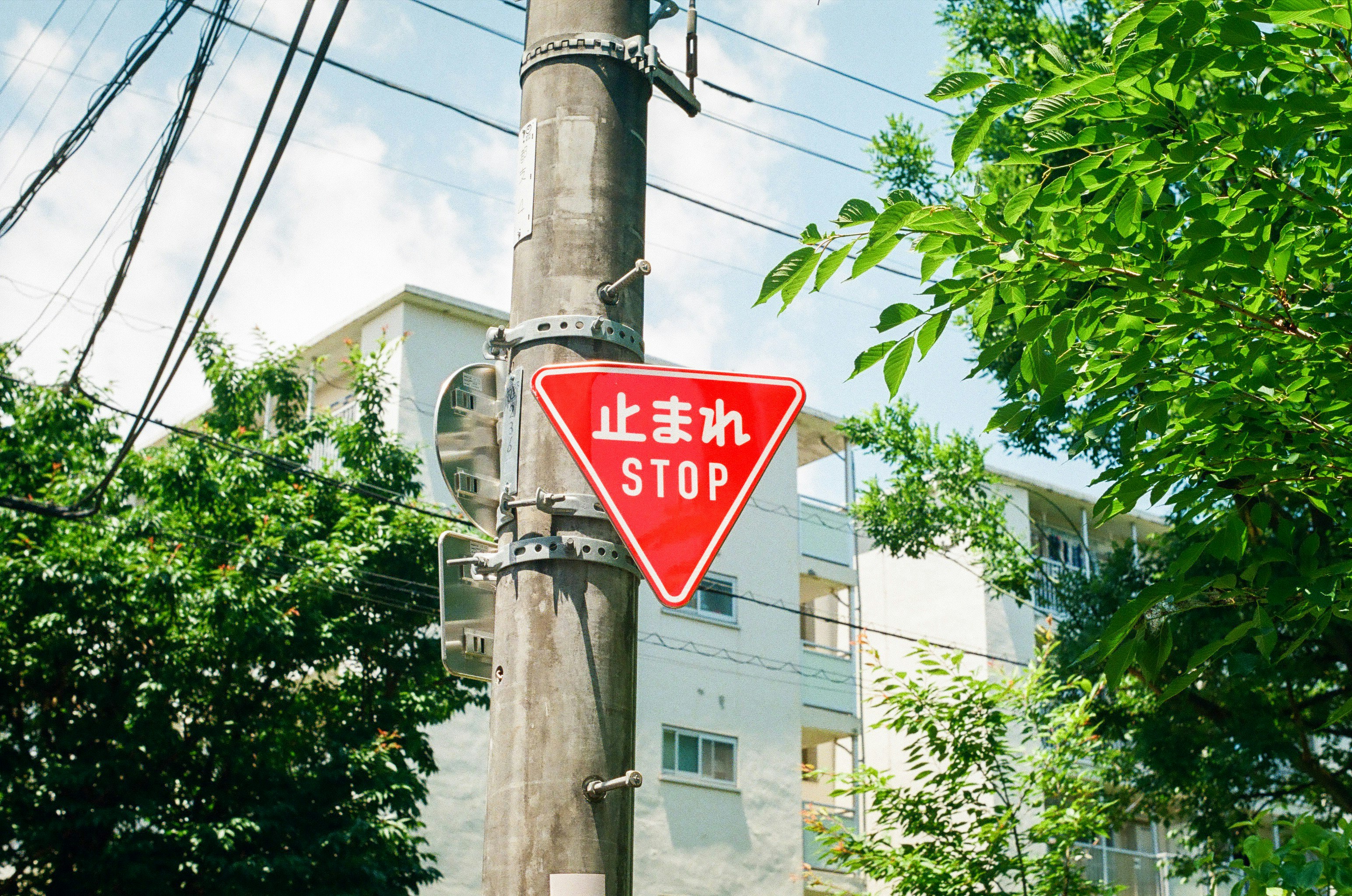 street corner with a “STOP” sign on a utility pole