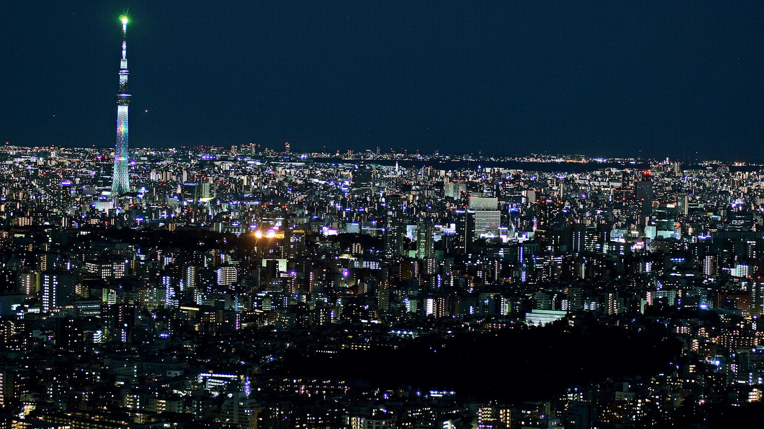 조명이 비치는 도쿄 스카이트리와 도쿄의 야경