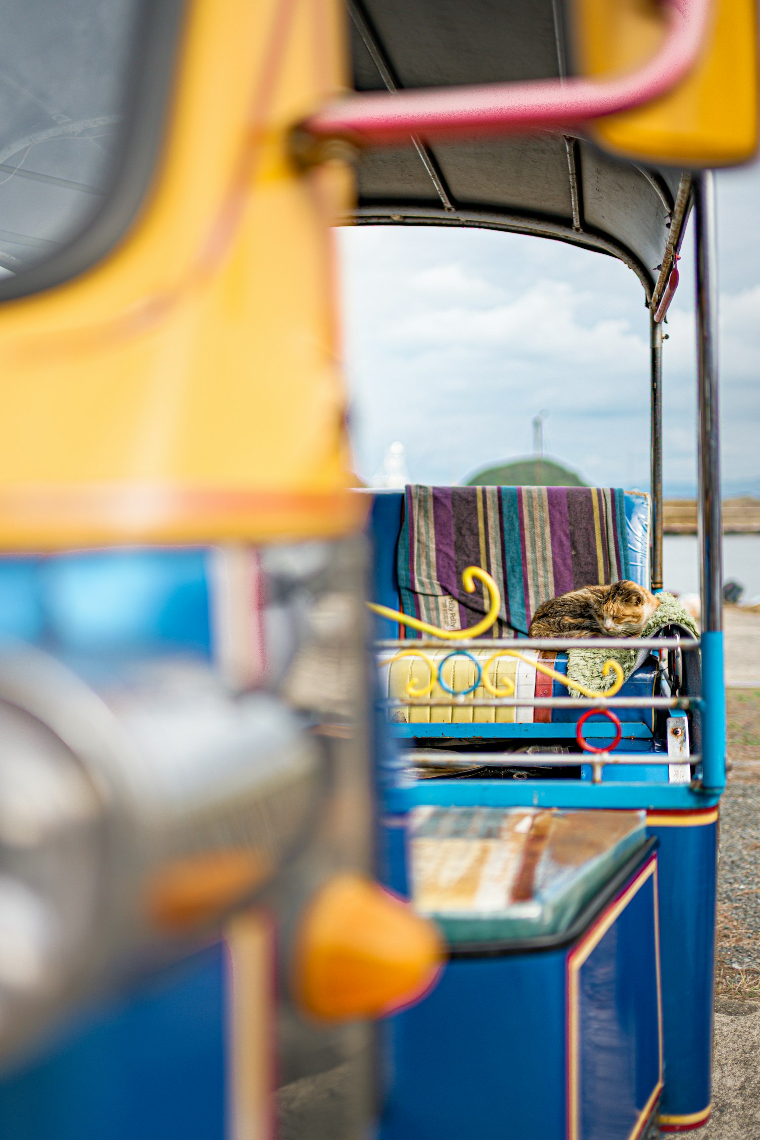 青とオレンジのトゥクトゥクの側面と後ろにあるカラフルなシートに寝ている猫