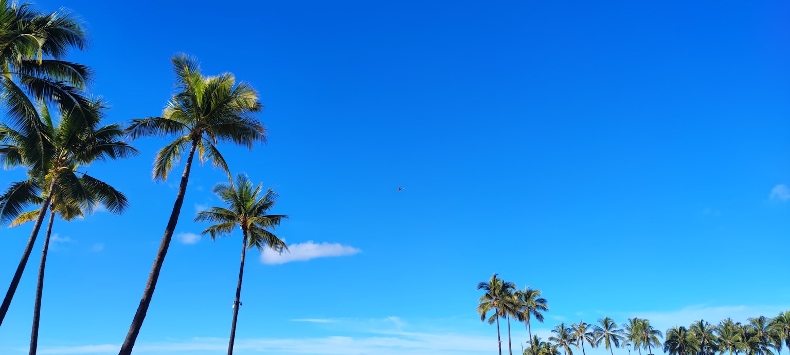 Pemandangan pantai dengan pohon palem di bawah langit biru yang cerah