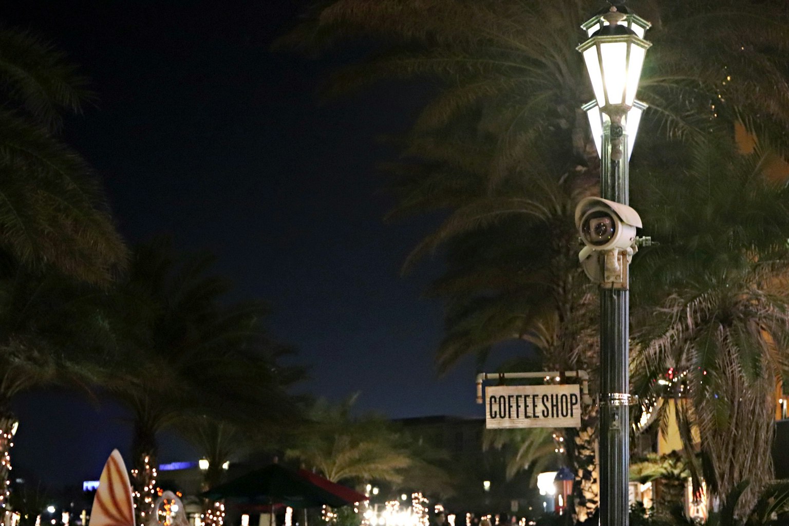 Straßenlaterne und Palmen bei Nacht mit sichtbarem Caféschild