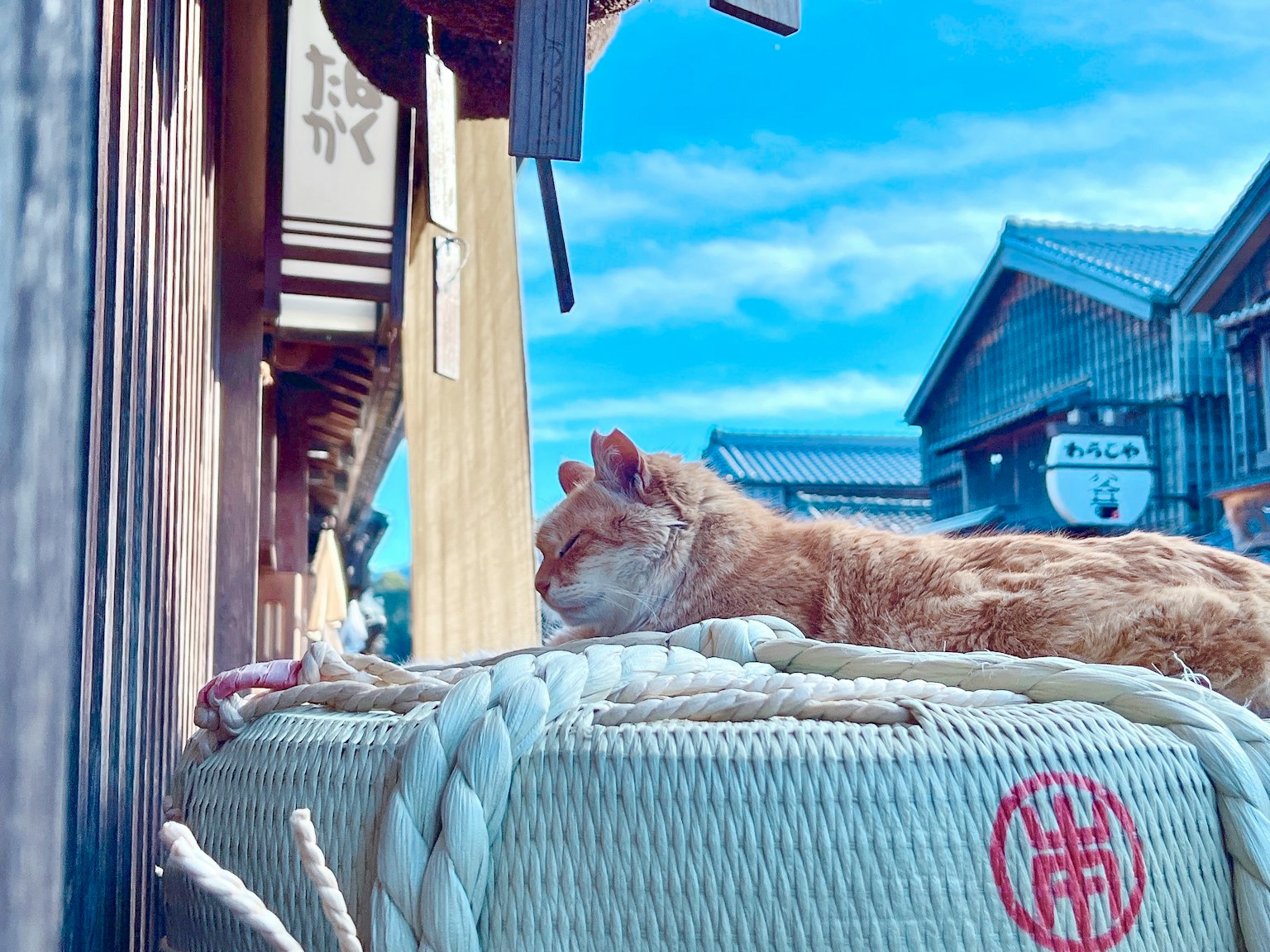 Un gato descansando sobre una canasta tejida frente a edificios de madera tradicionales