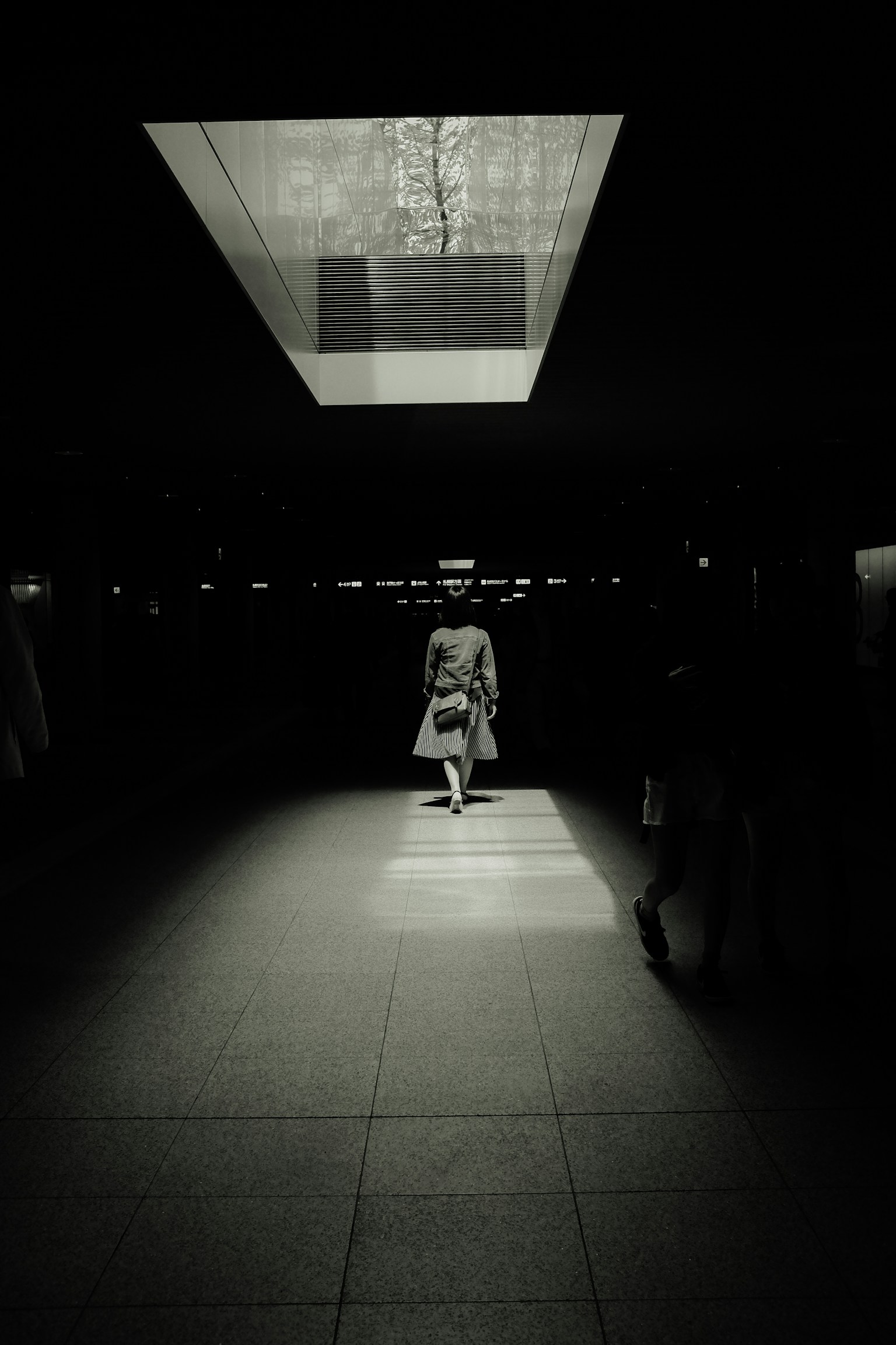 photo-lNpa4Skwmj6Jhx9tGTXr-image