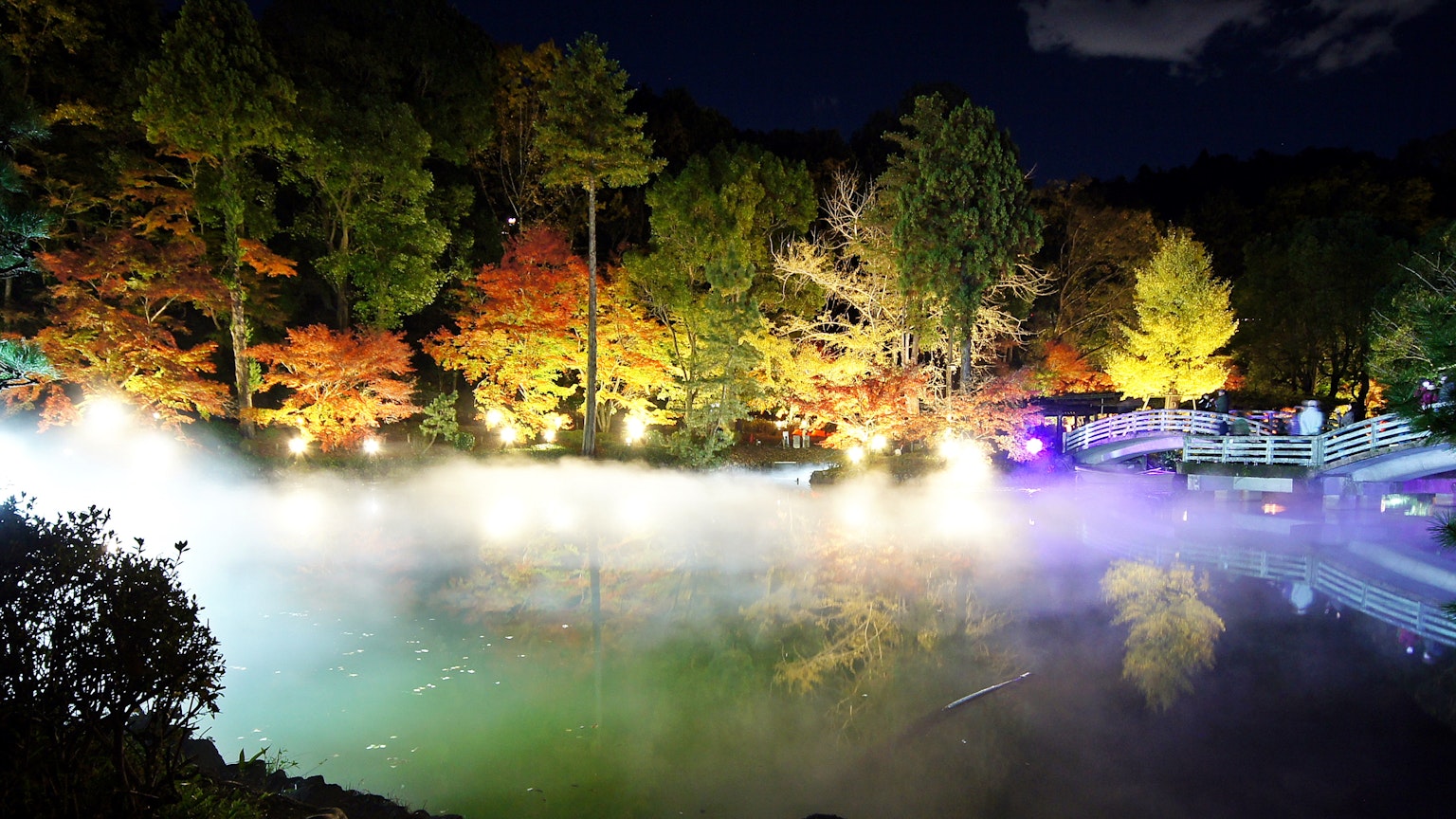 Bellissimo scenario notturno di uno stagno con alberi colorati