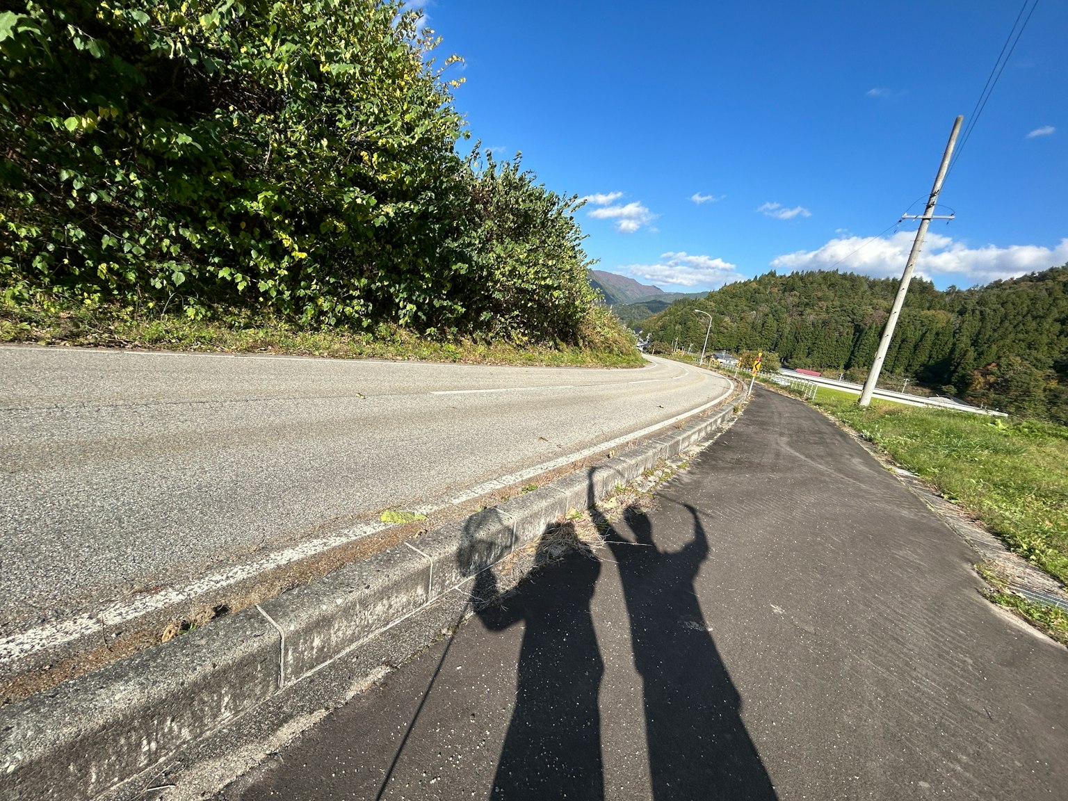 兩個人的影子在綠樹成蔭的彎曲道路上