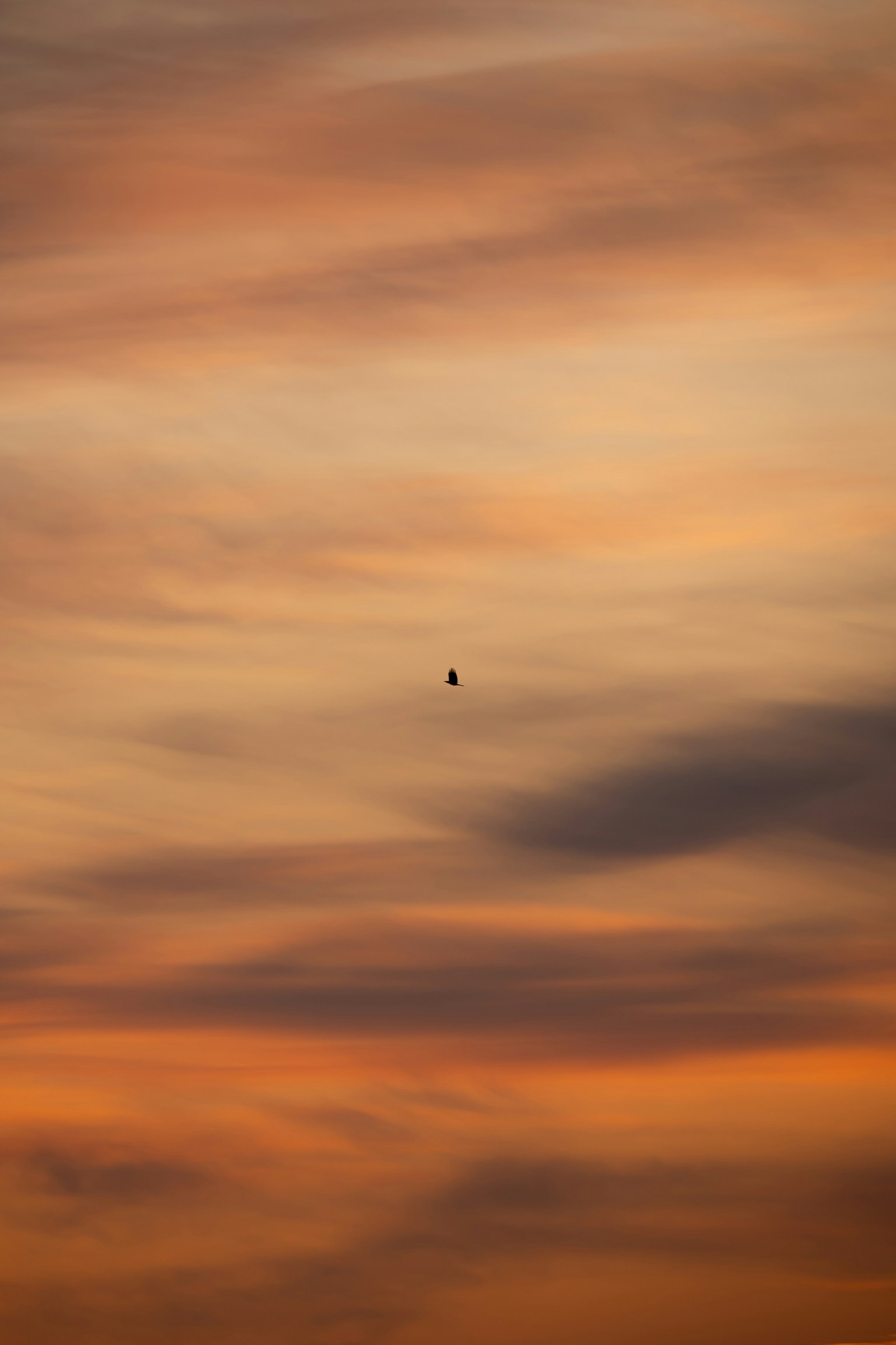 photo-lPn0WHf9C2364hDbY4Fr-image