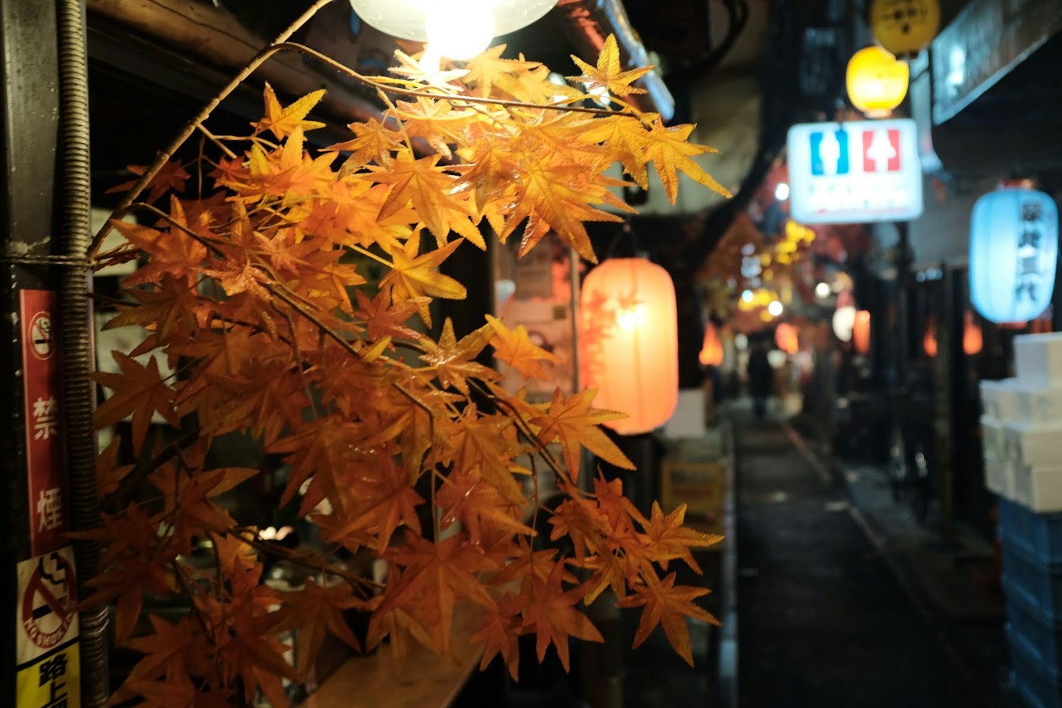 Feuilles d'automne et lanternes dans une rue japonaise