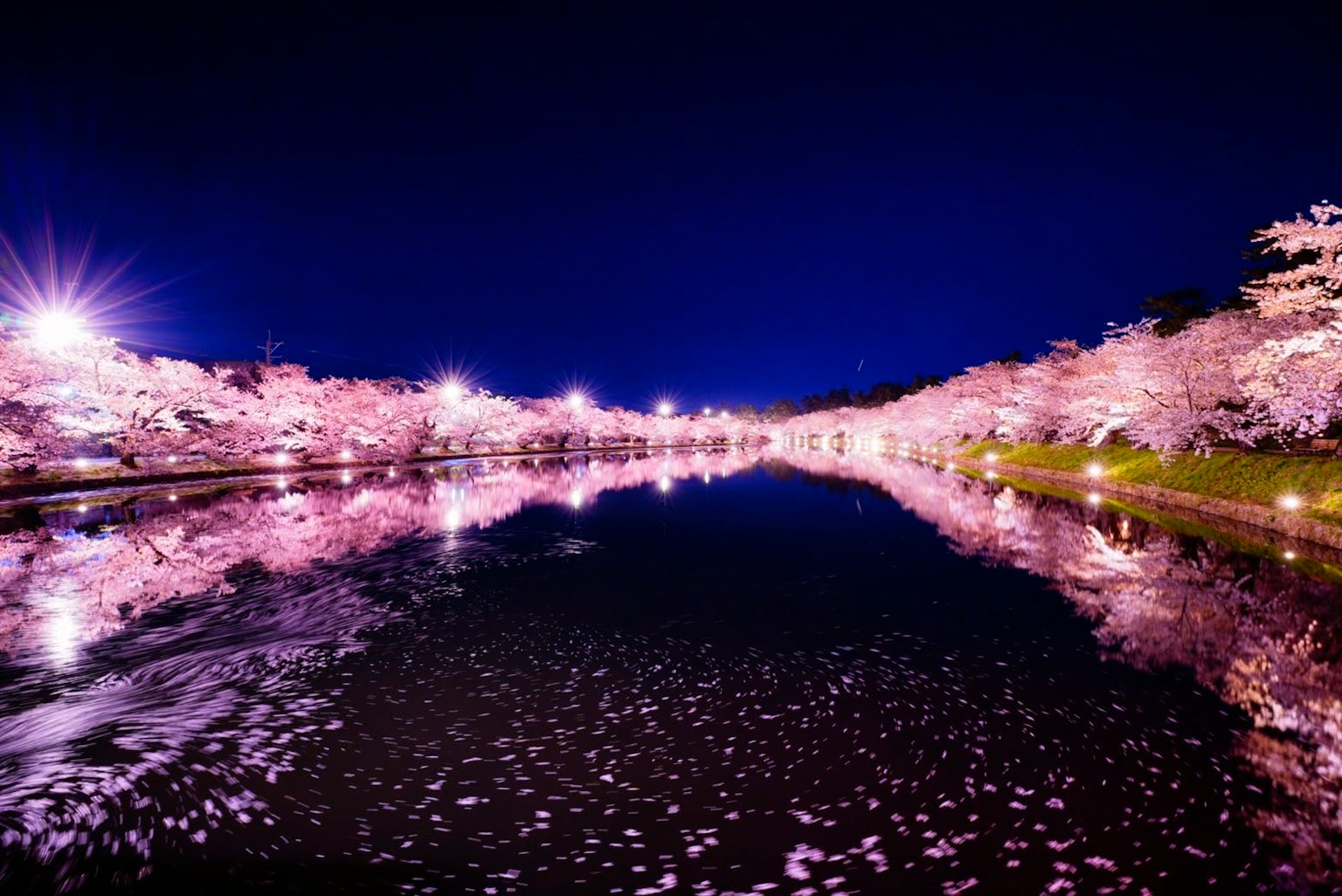 Pemandangan sungai yang indah dengan bunga sakura dan pantulan di malam hari