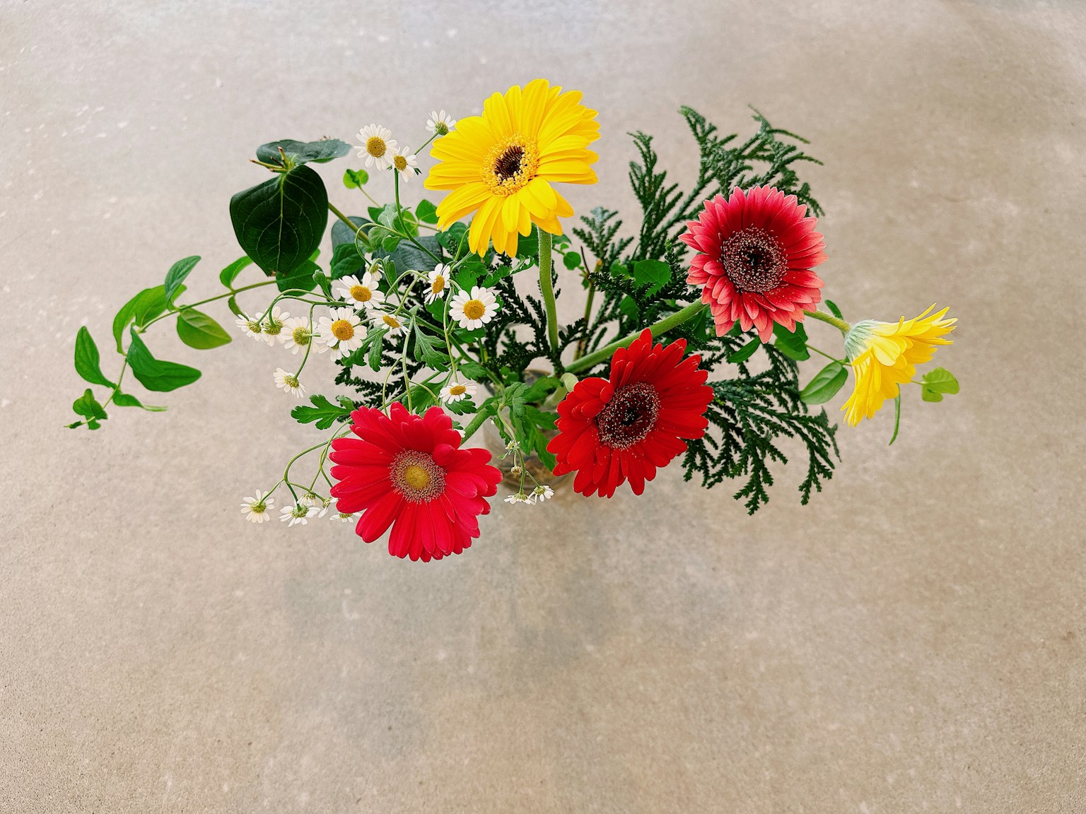 五颜六色的花瓶花卉组合，红色黄色花朵和绿叶