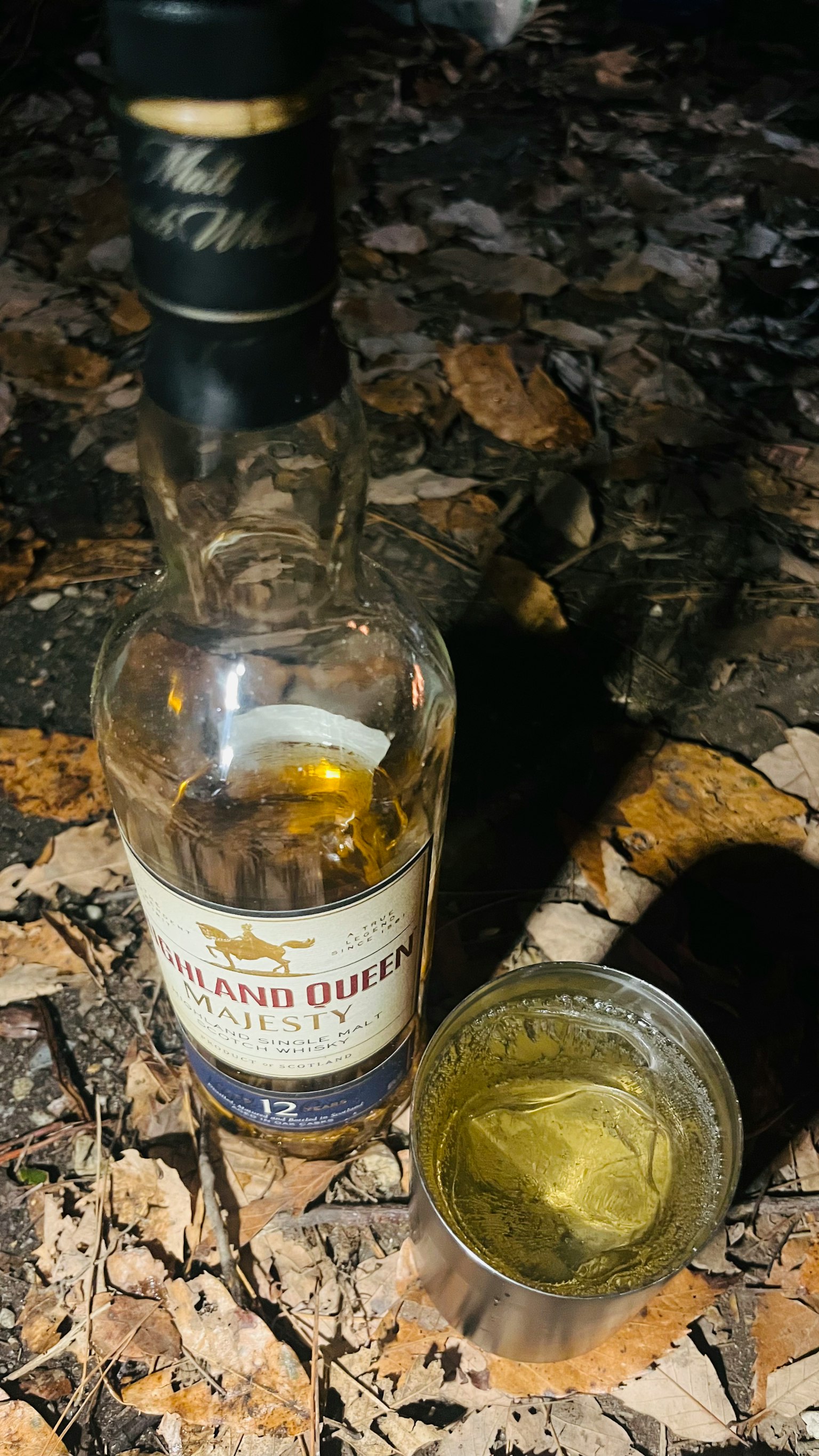 Whiskey bottle and glass on a bed of fallen leaves