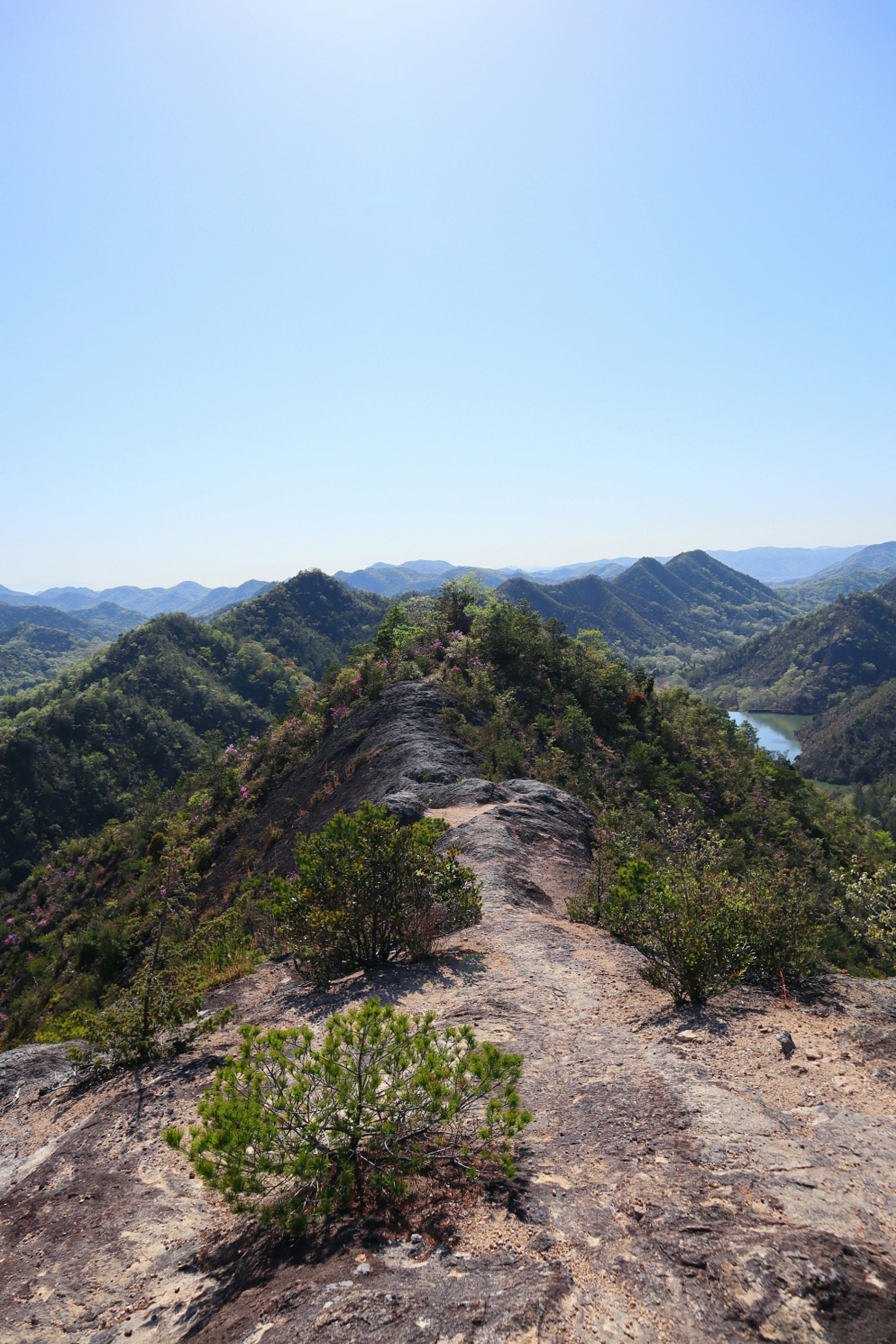 山の稜線を見下ろす岩場と低木の自然風景