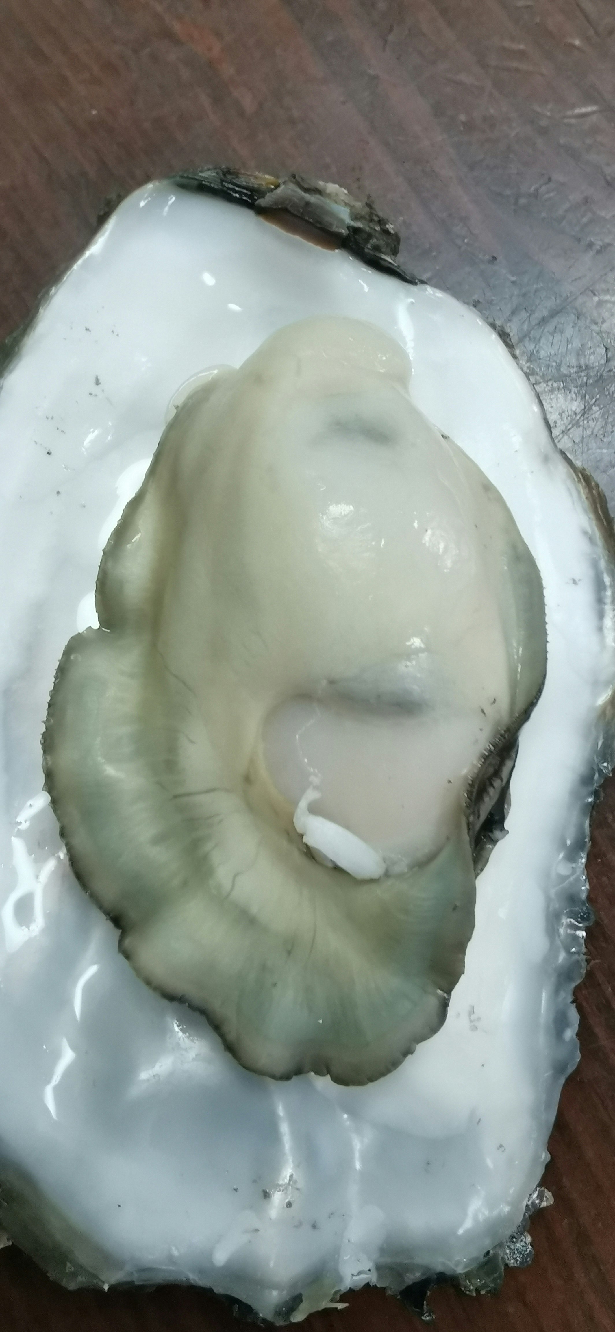 白色奶油上的牛油果半个