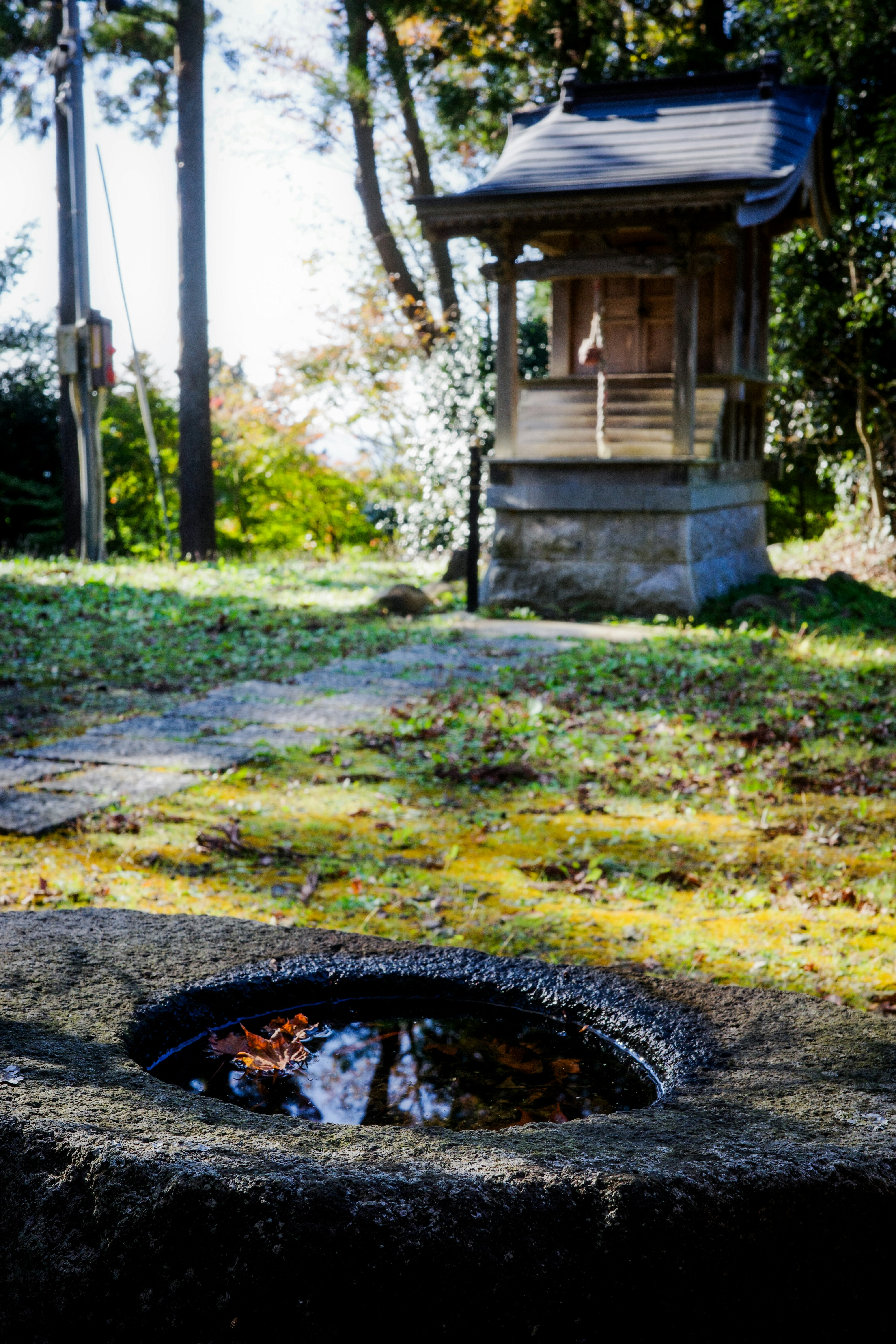 苔むした石の手水鉢と小さな祠のある静かな庭