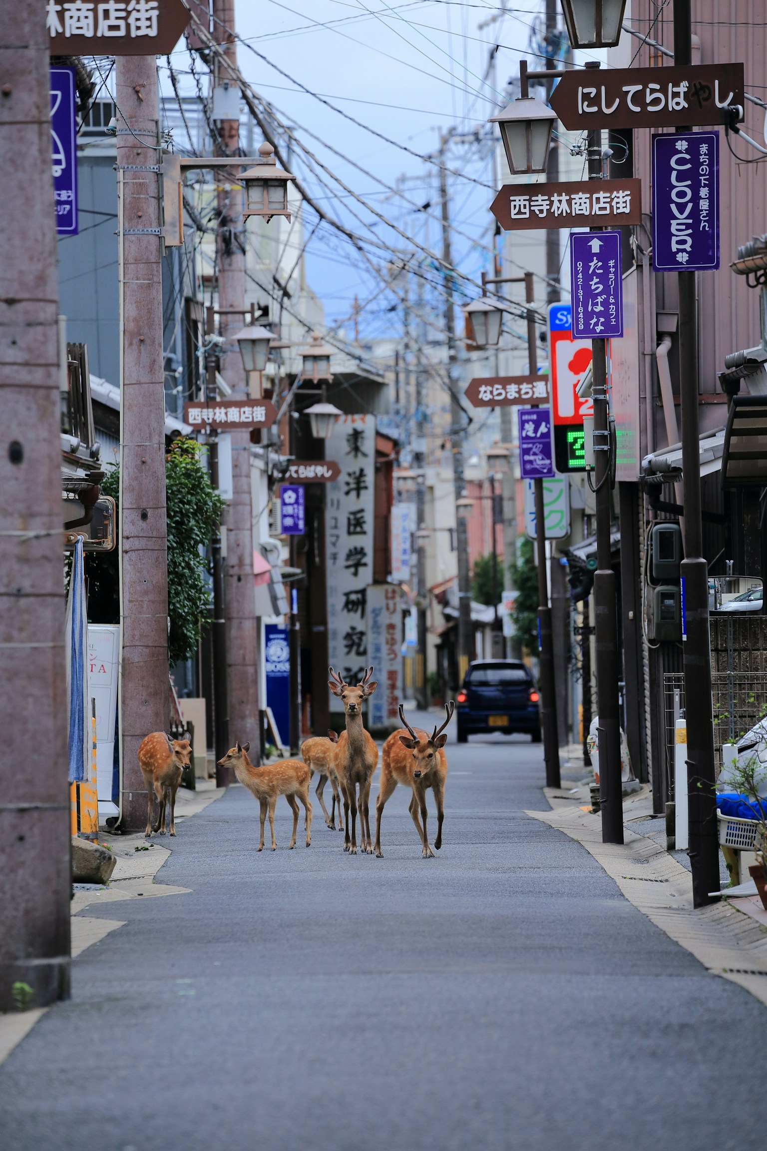 photo-lRZkJ5cqmrQlaroEEdtU-image