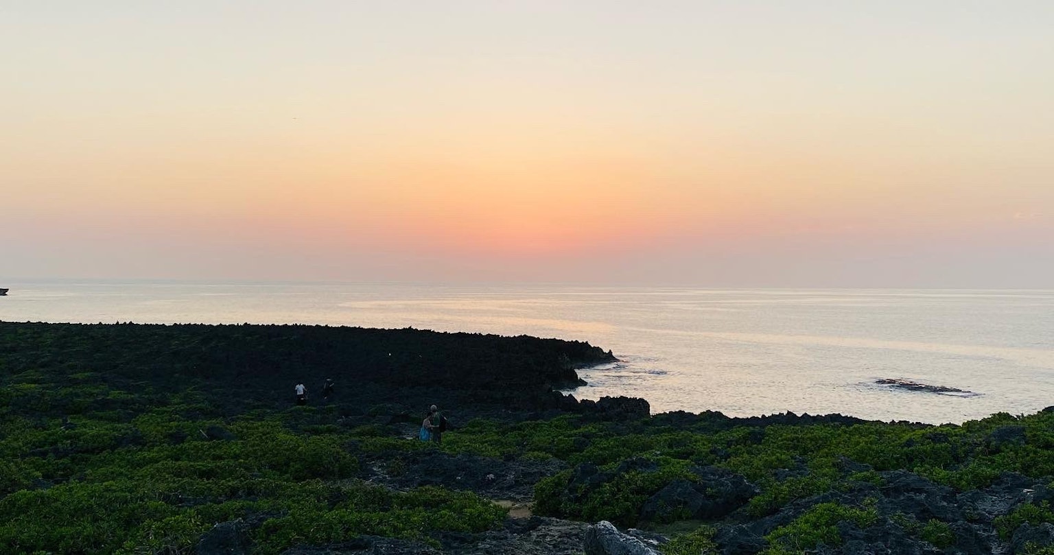Hermosa costa al atardecer con vegetación verde