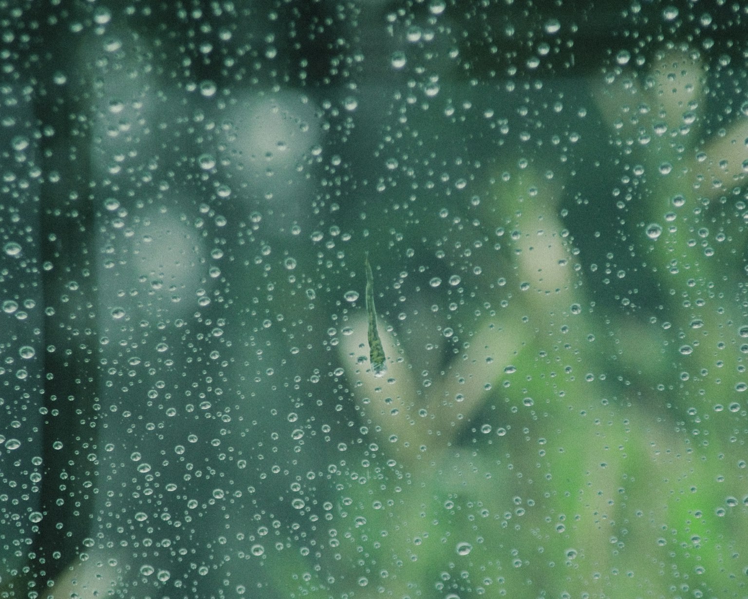 Vista borrosa de plantas verdes a través de una ventana con gotas de agua