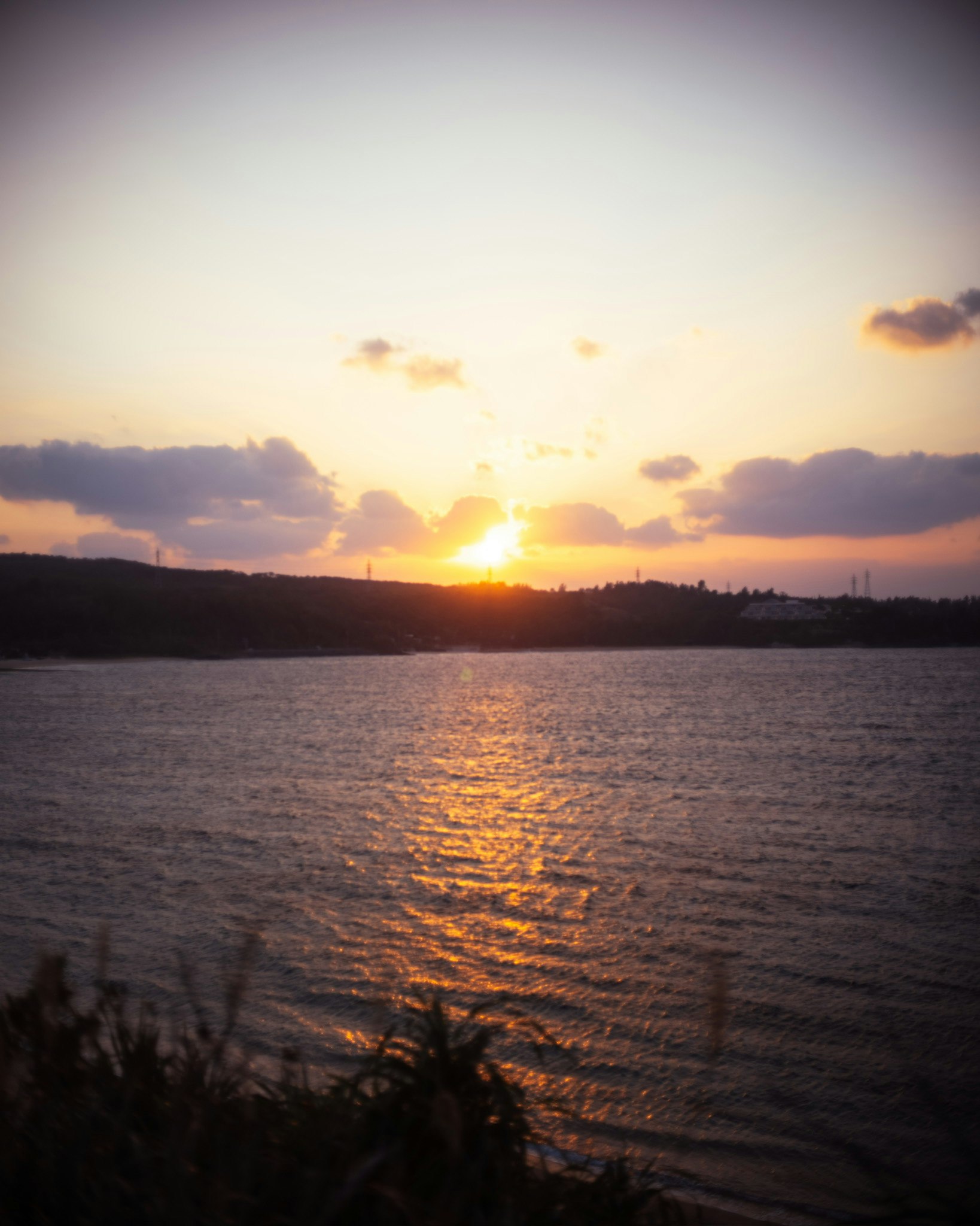 夕日に照らされる川沿いの風景