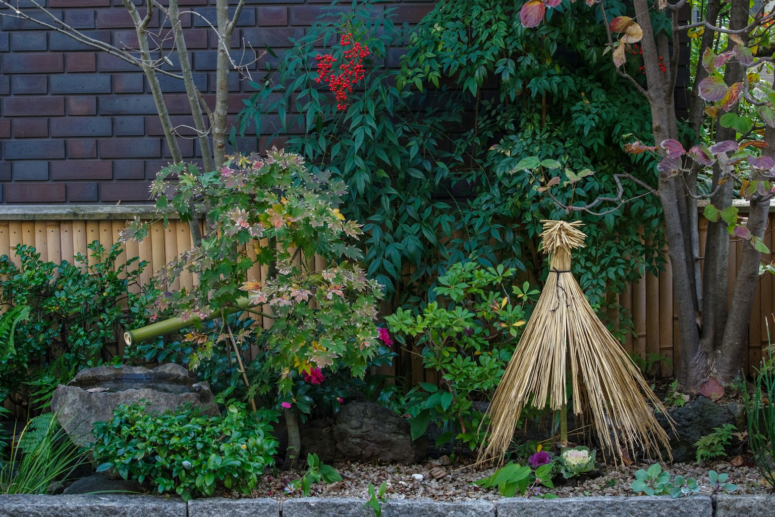 Jardin luxuriant avec des plantes vibrantes et du bambou décoratif