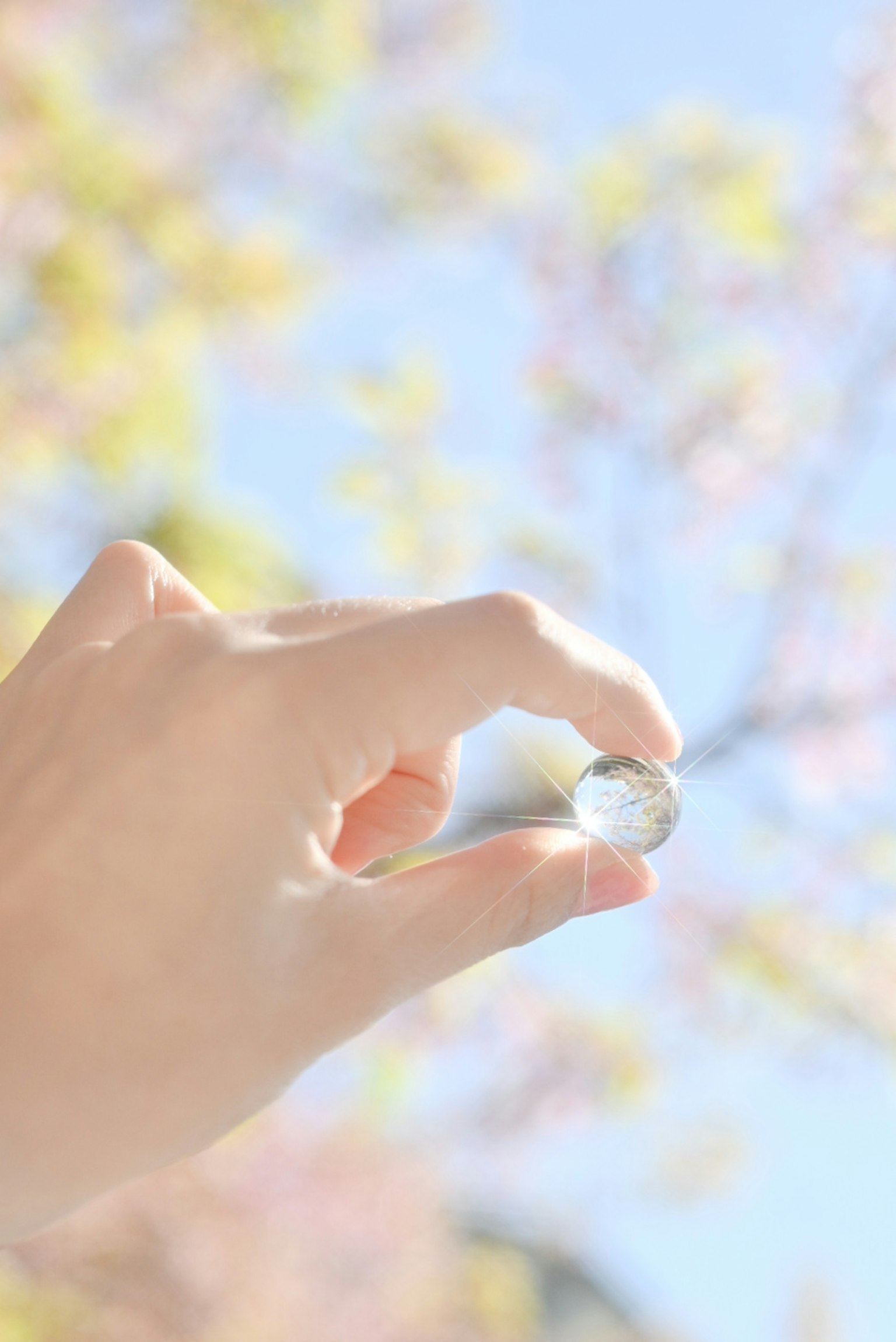Una mano sosteniendo una esfera transparente con flores de cerezo en primavera de fondo