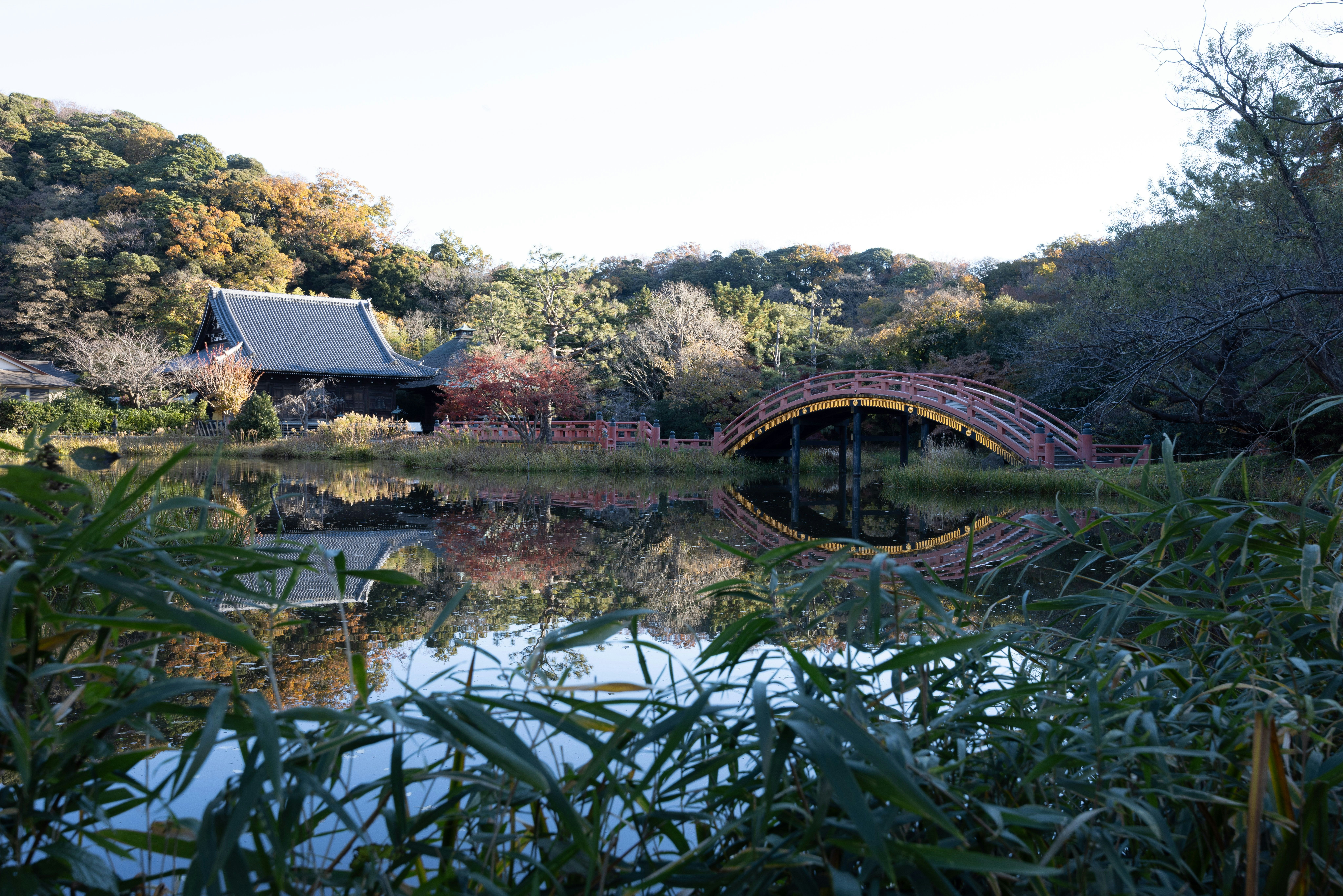池に映る赤いアーチ橋と庭園の風景