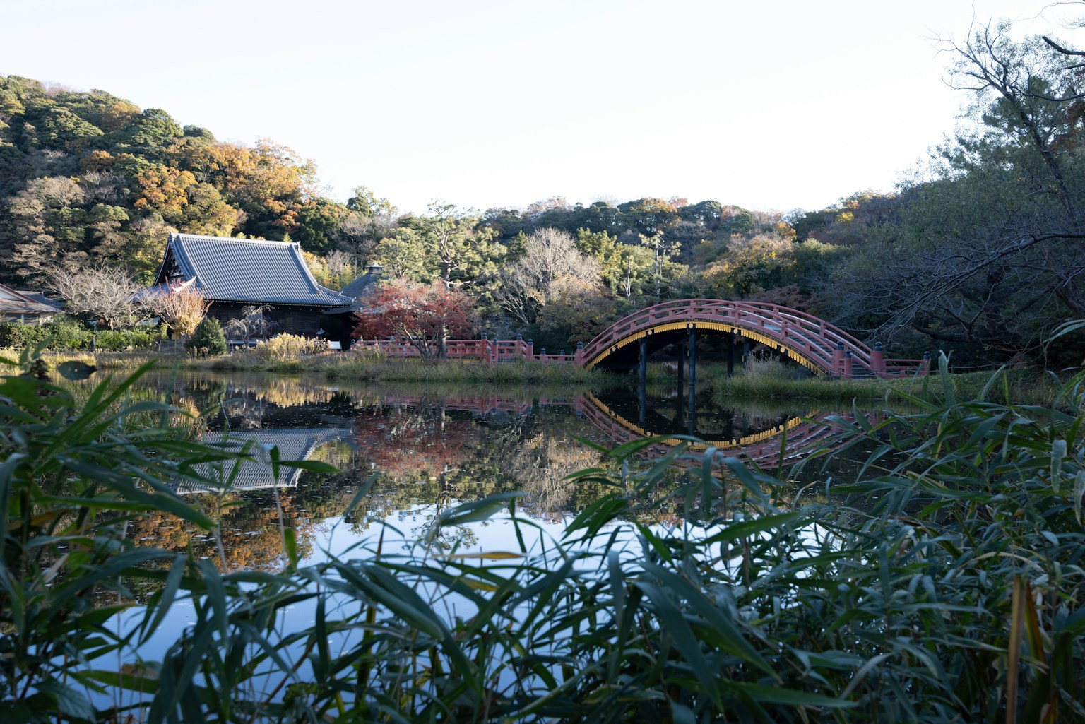 池のほとりにある赤い橋と伝統的な建物の風景