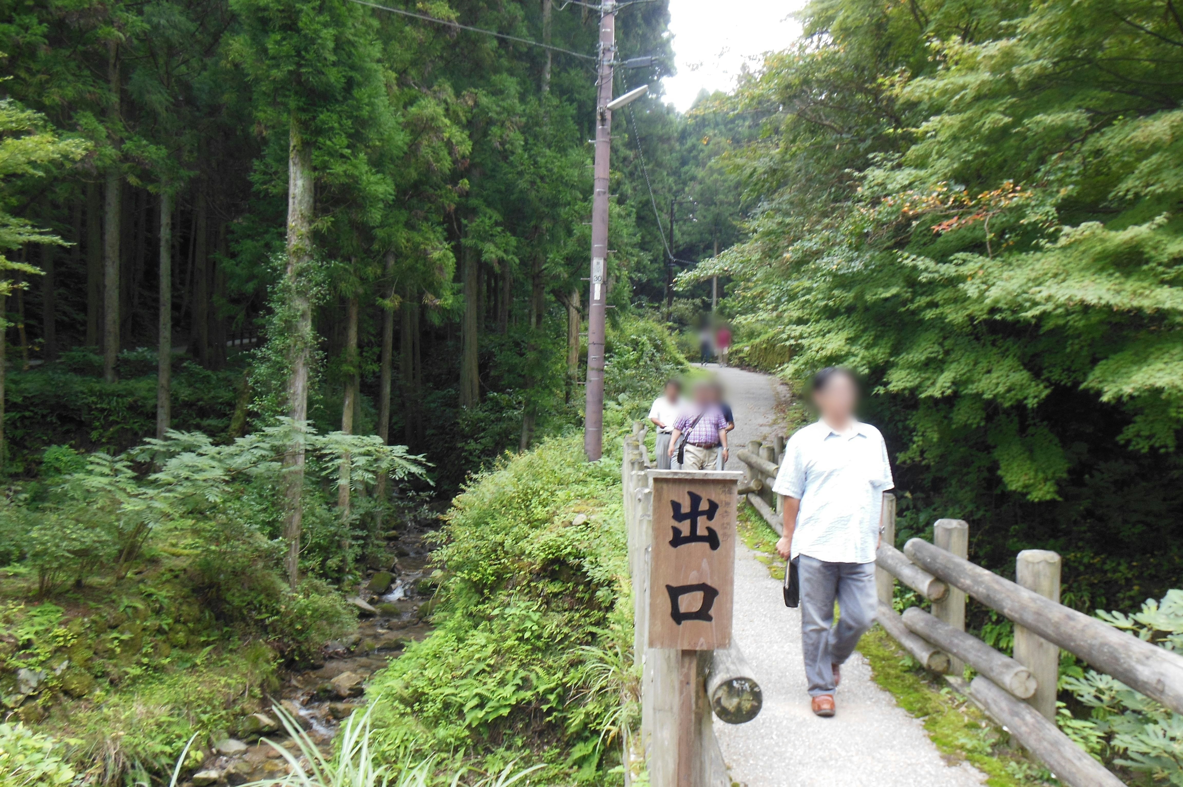 A forest path with people walking past a gate sign in lush greenery