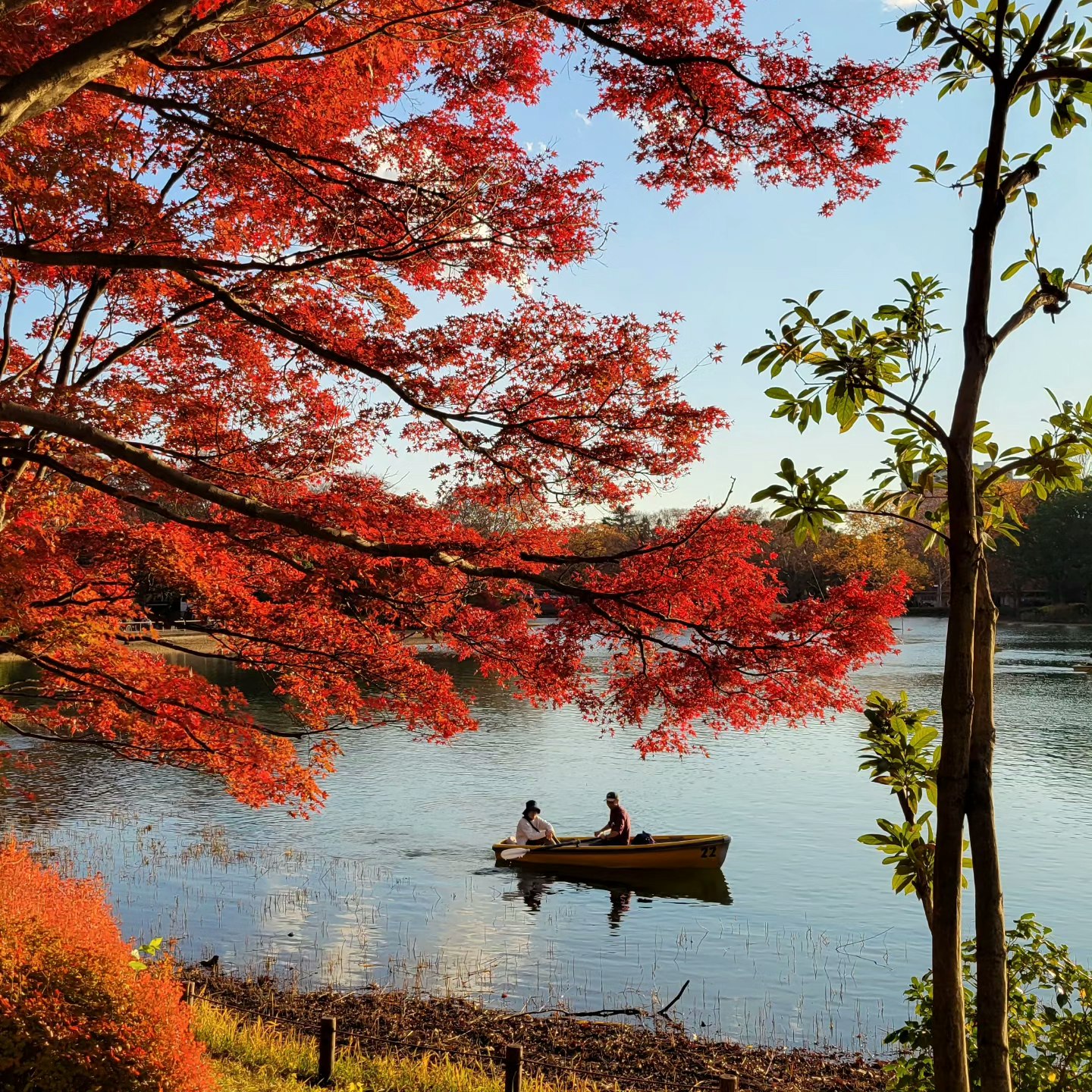 水辺に浮かぶボートと紅葉の木々が映る秋の風景
