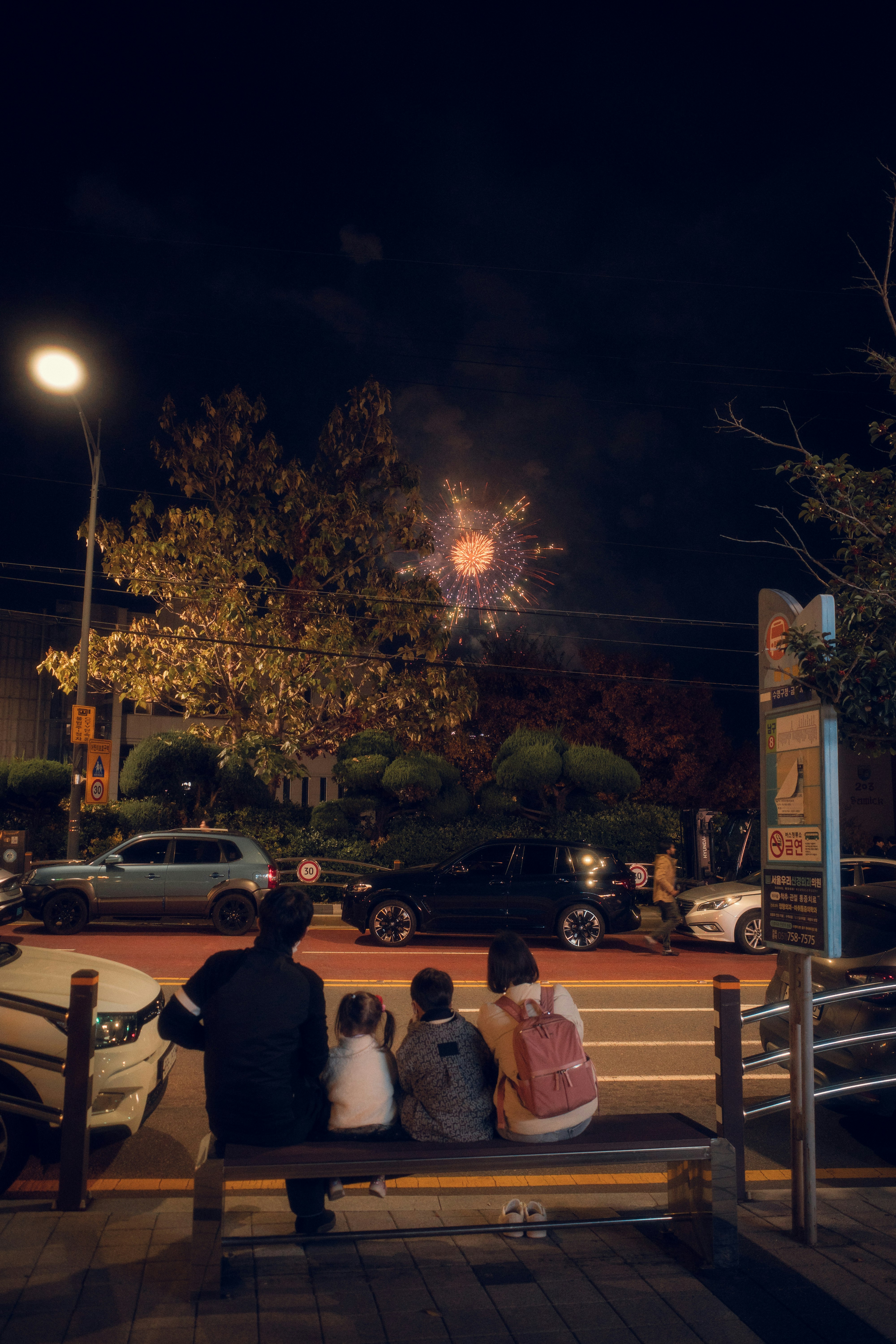 fireworks over a park at night