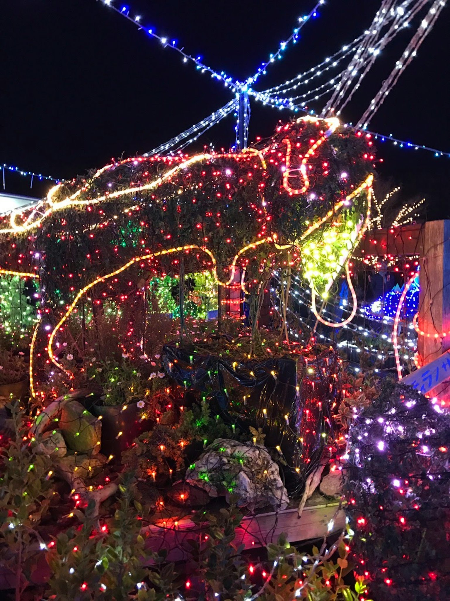 Bunte Lichter in Form eines Elefanten, die am Nachthimmel leuchten