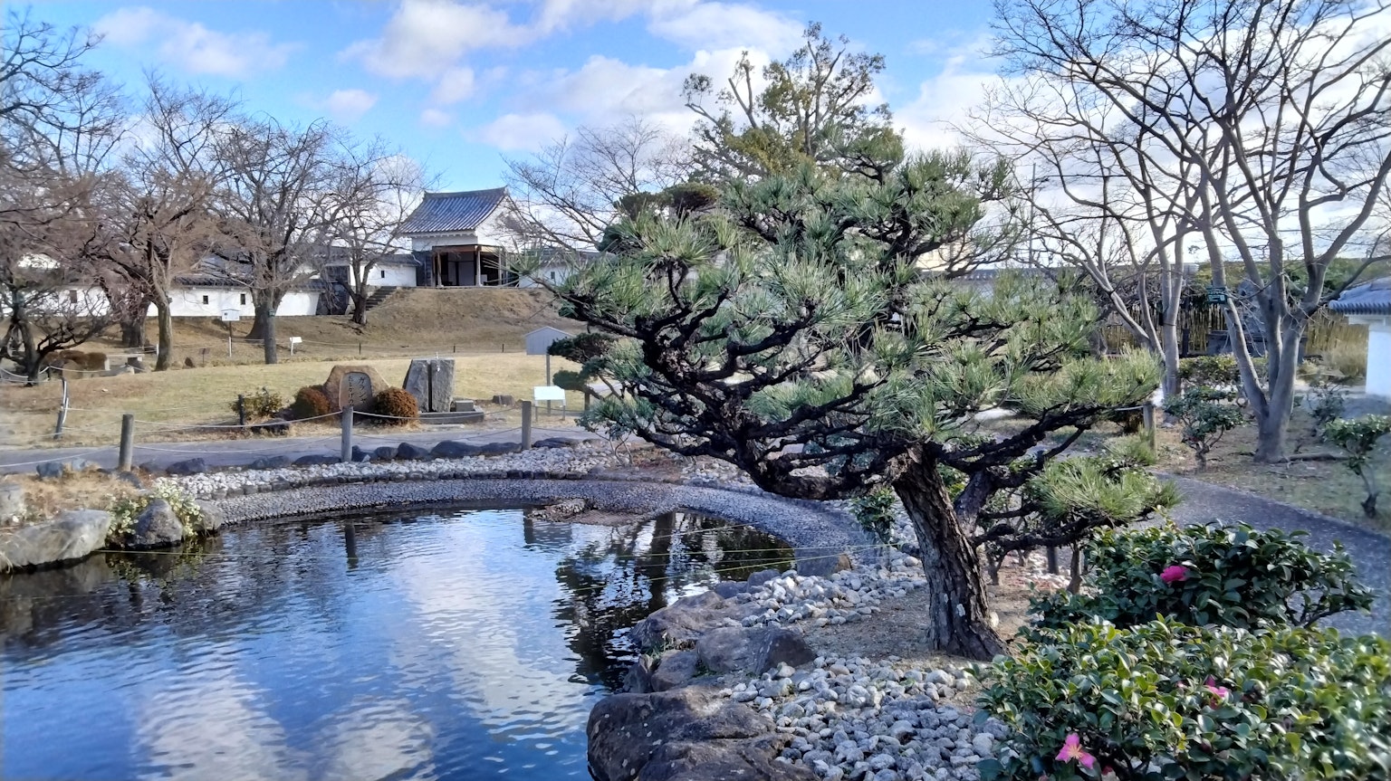 Ruhiger japanischer Garten mit Teich und Kiefer