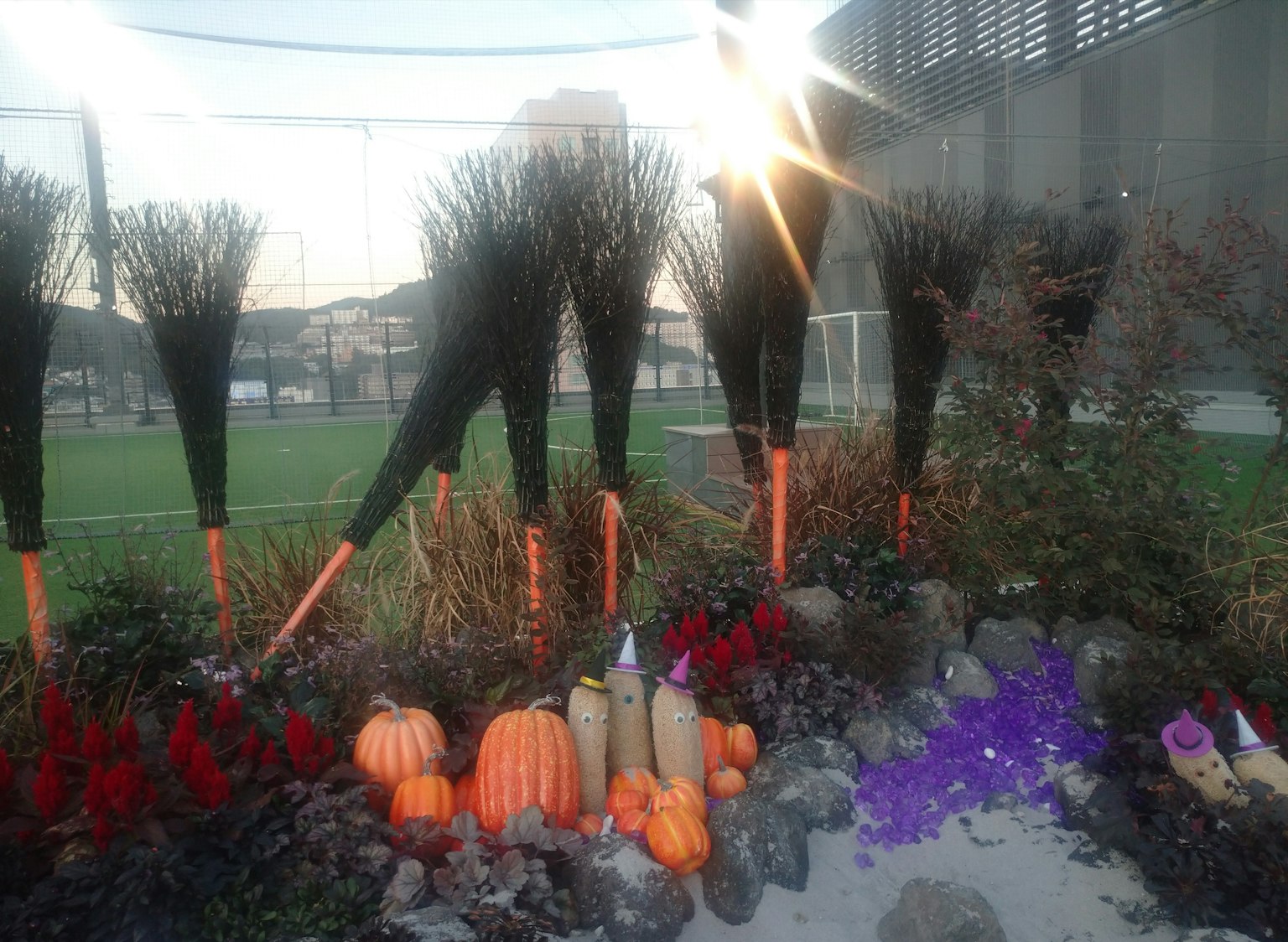 Besene in einem Garten mit bunten Kürbissen und Blumen angeordnet