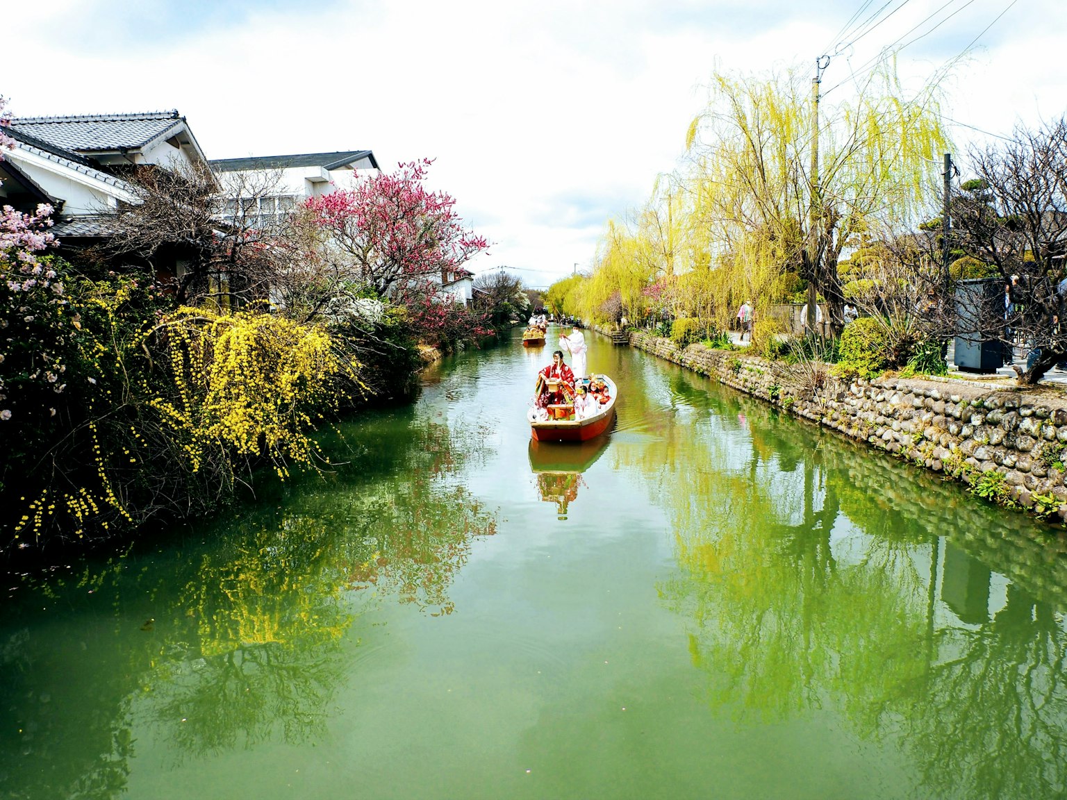 Vista panoramica di una barca su un fiume verde circondata da ciliegi e salici