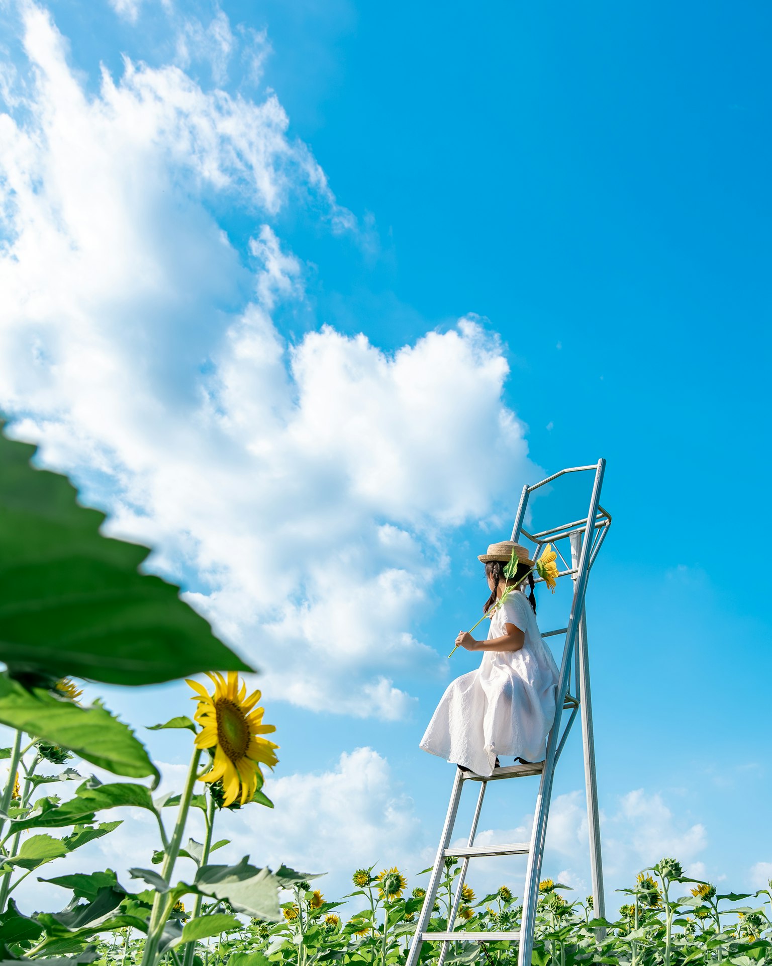 Girl in a white dress sitting on a ladder among sunflowers under a blue sky