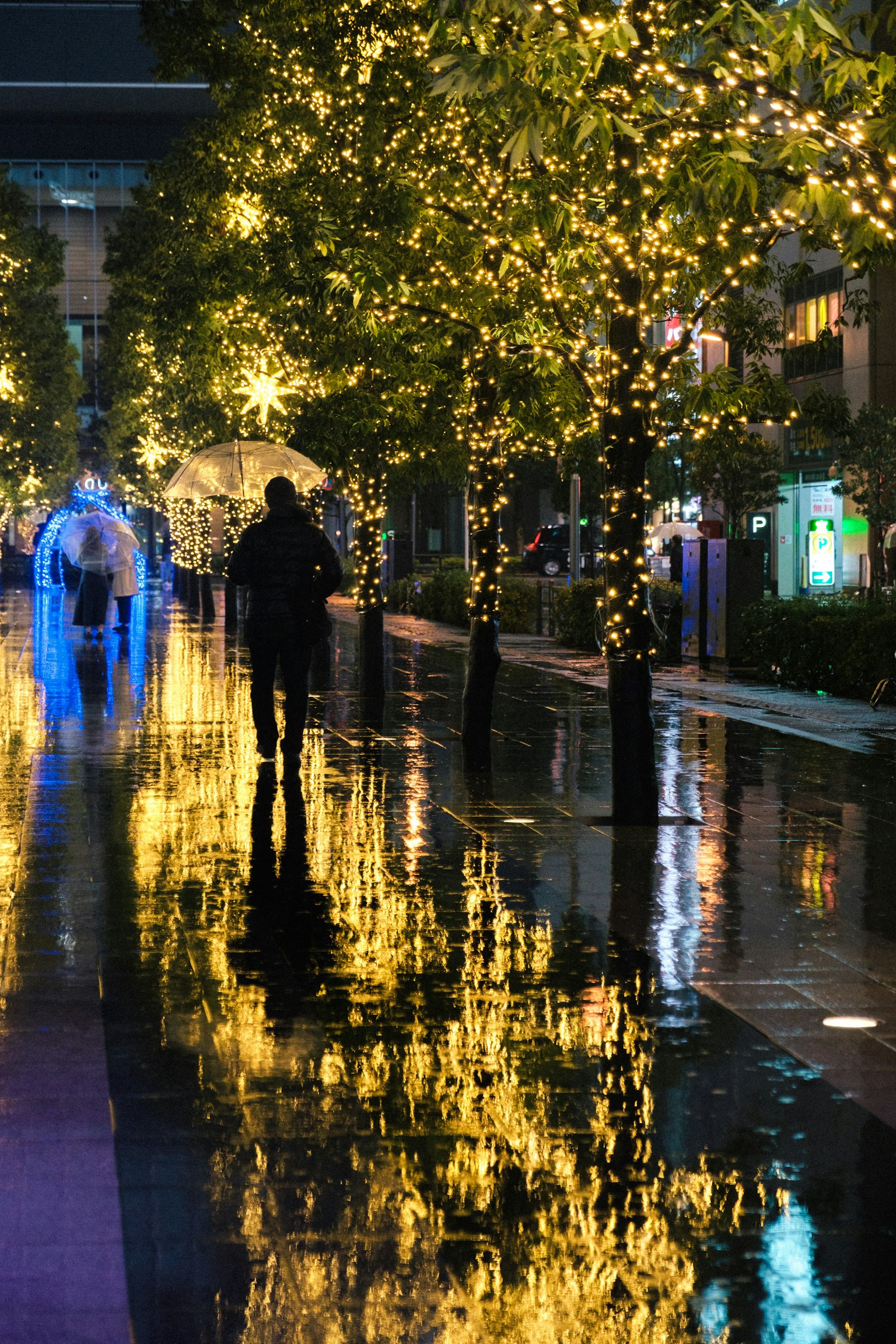 美丽的夜景，雨水浸透的街道上灯光的倒影