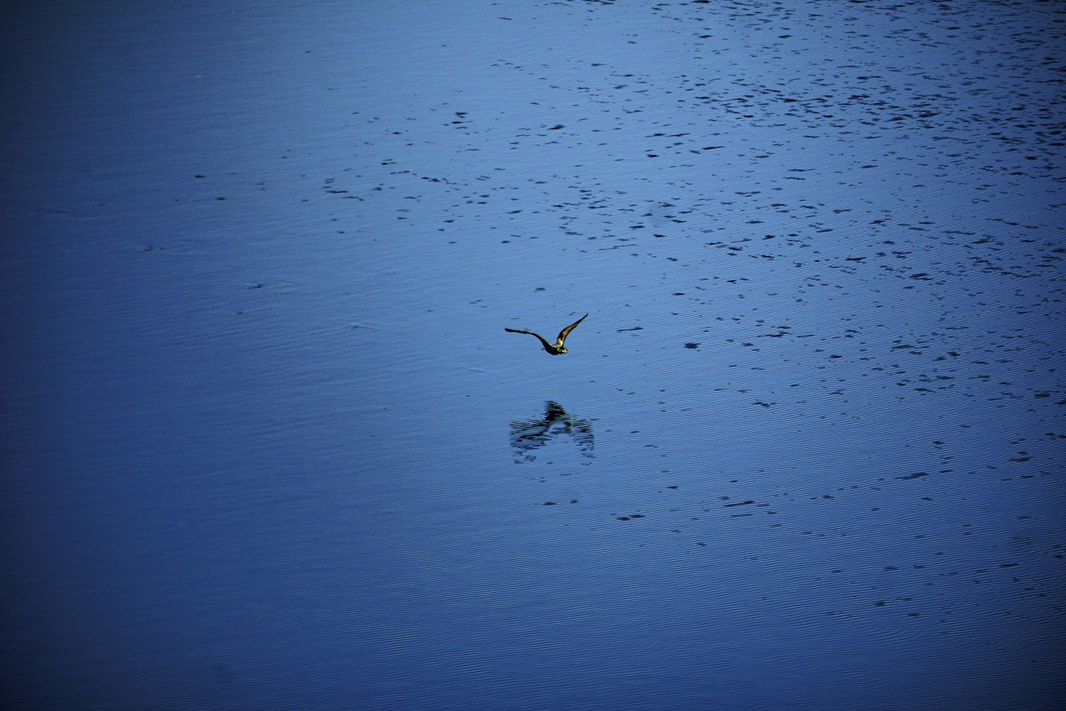 photo-lVVtJXTBV0hgQWQZt5dk-image