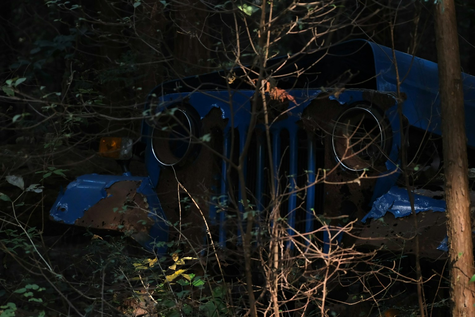 Abandoned blue jeep wreck hidden in the forest
